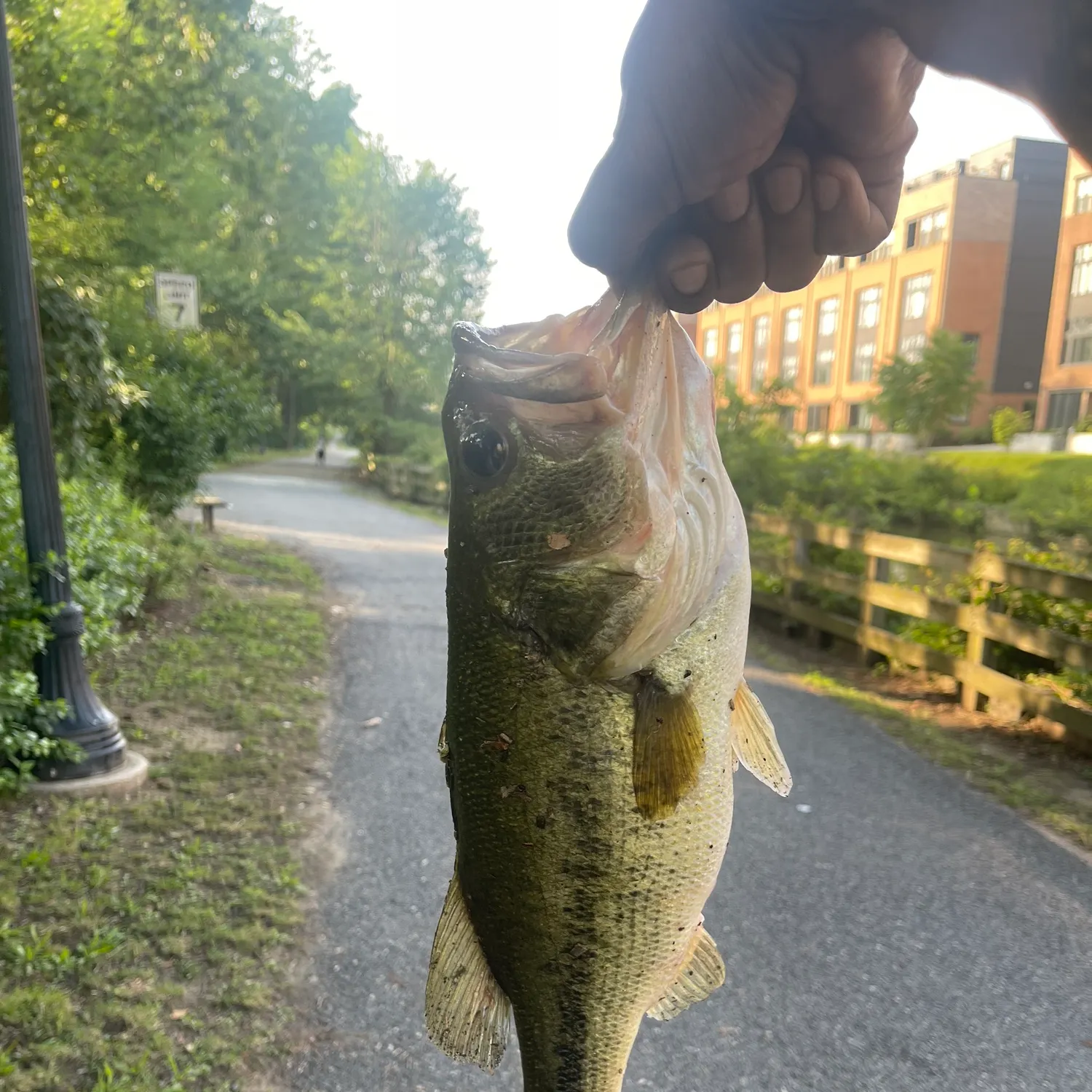 catch