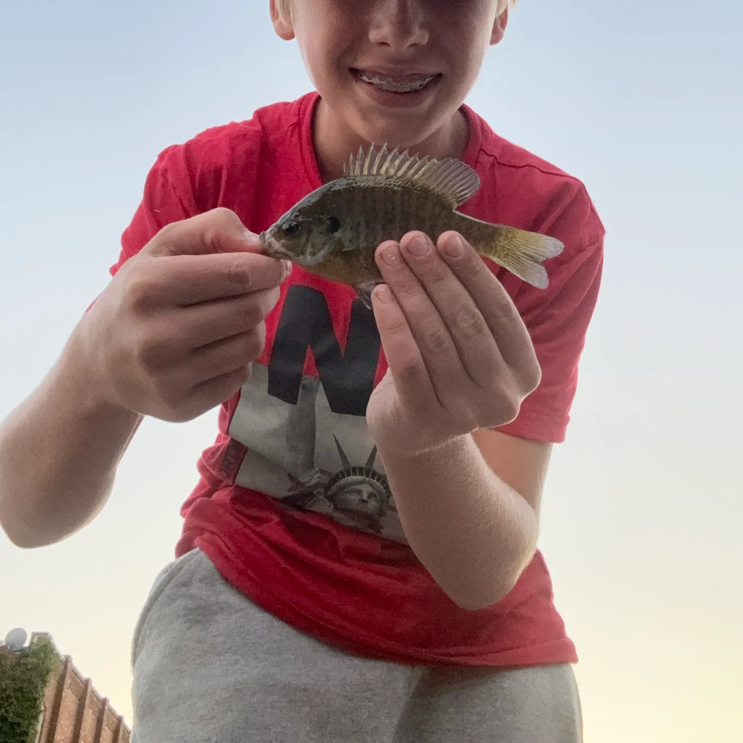 Bluegill caught on Fishbrain