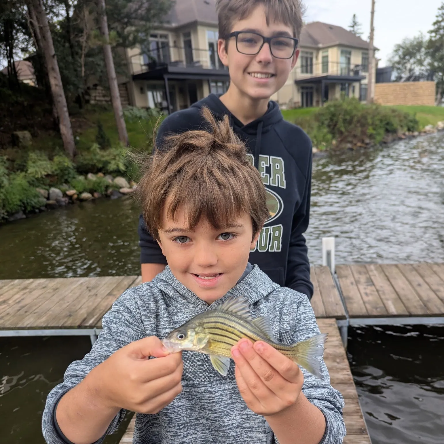 Yellow bass caught on Fishbrain