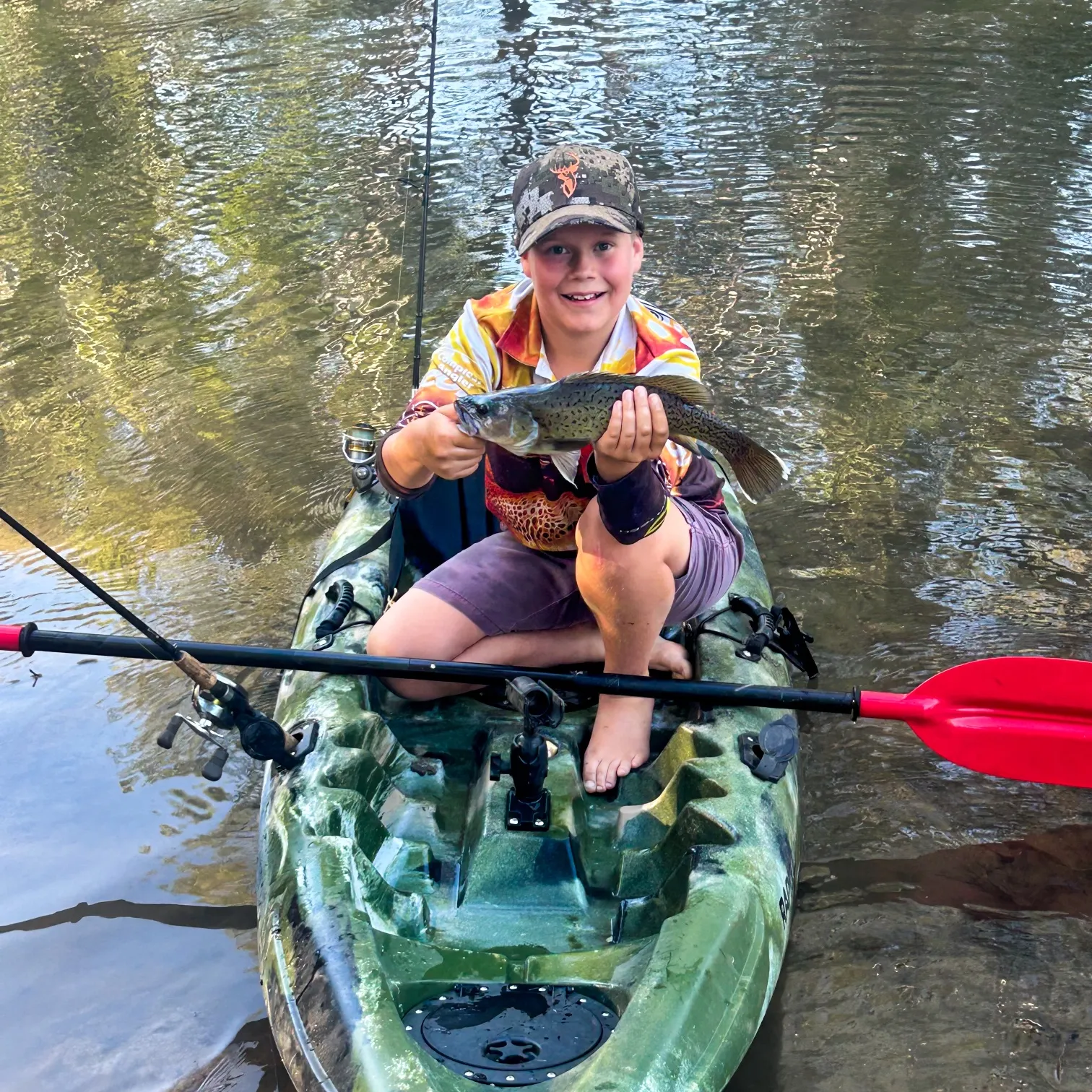 The most recent Trout cod catches on Fishbrain