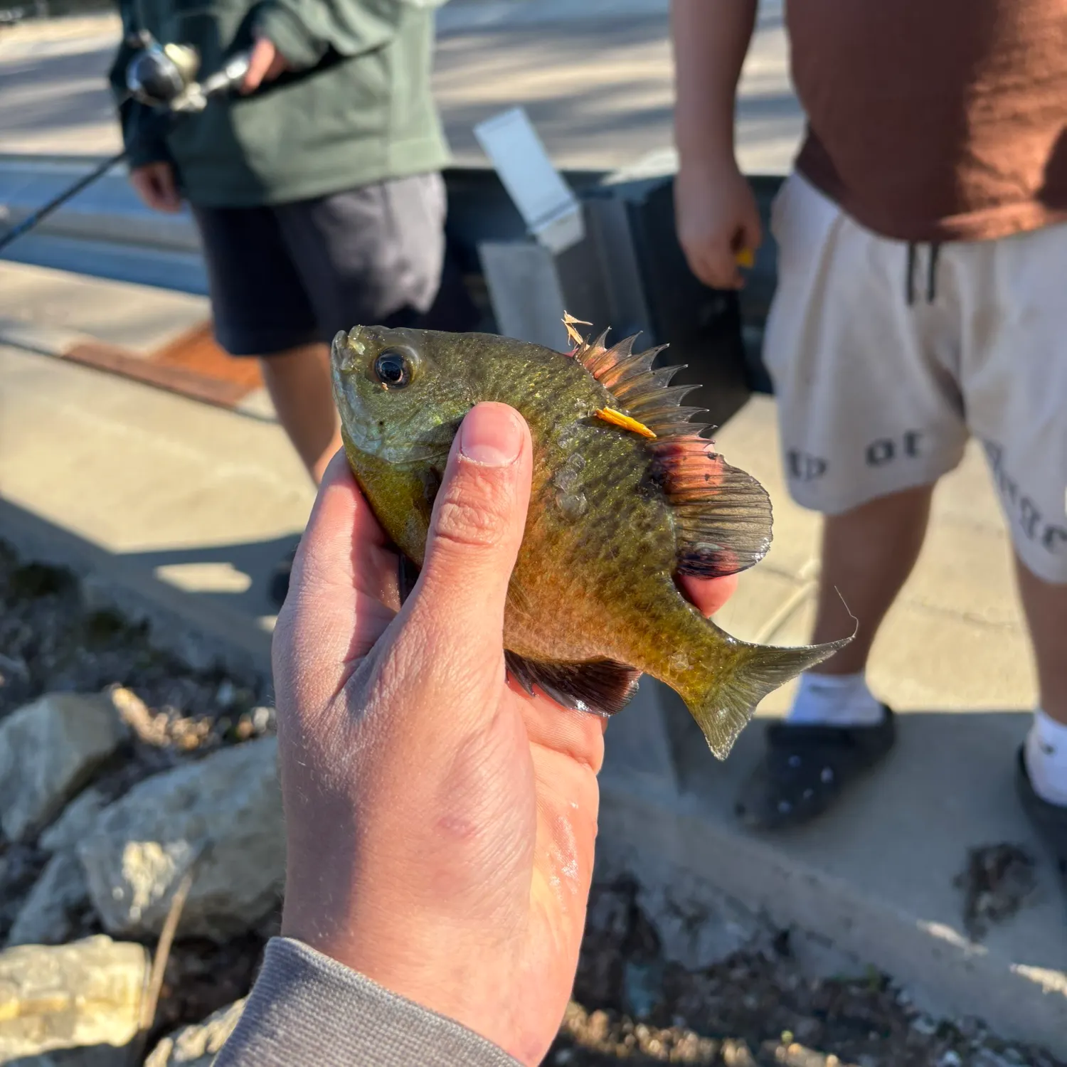 catch