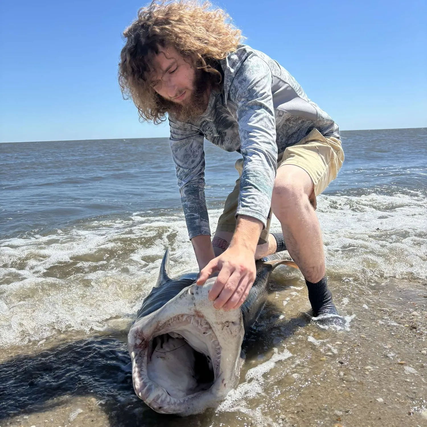 The most recent Caribbean reef shark catches on Fishbrain