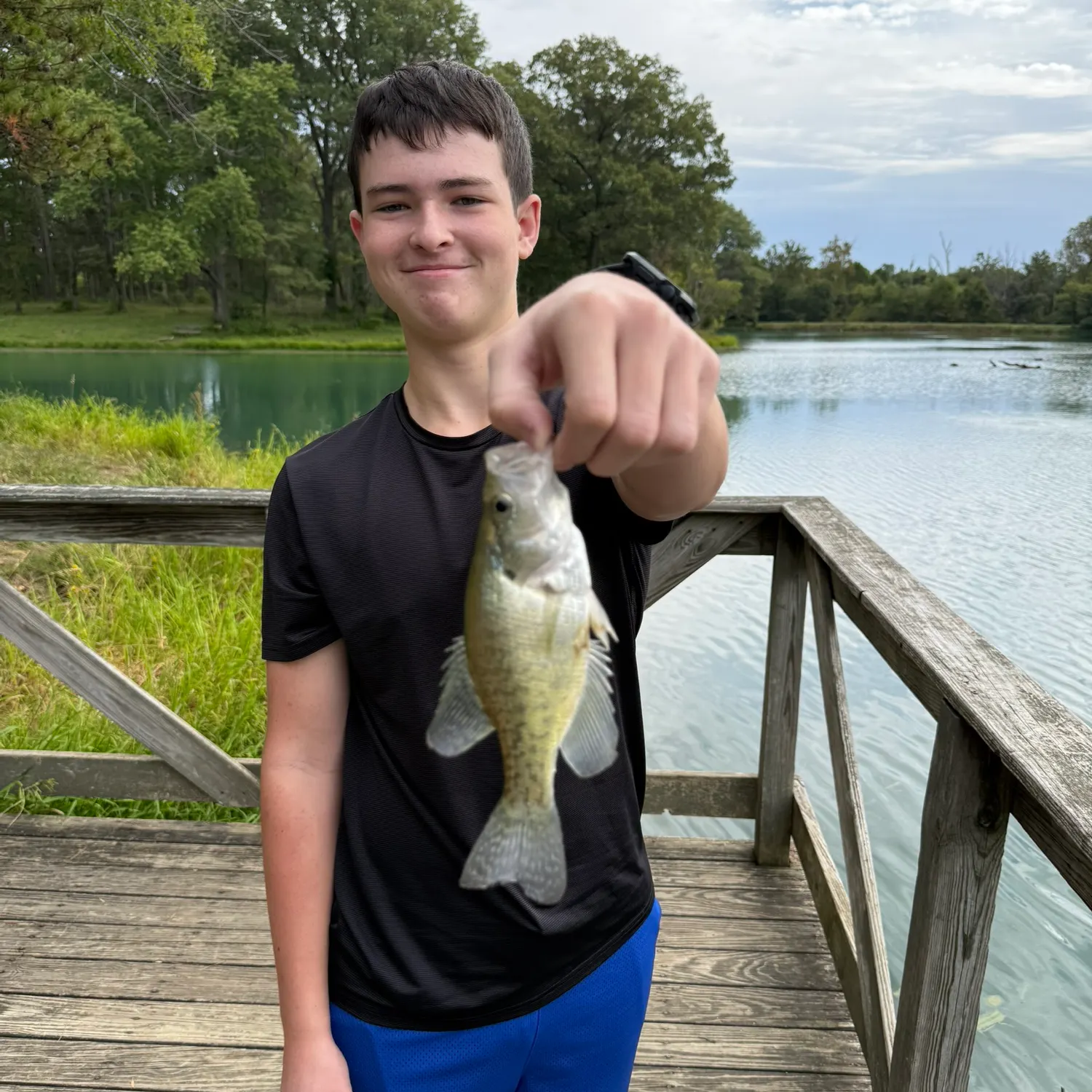 White crappie caught on Fishbrain