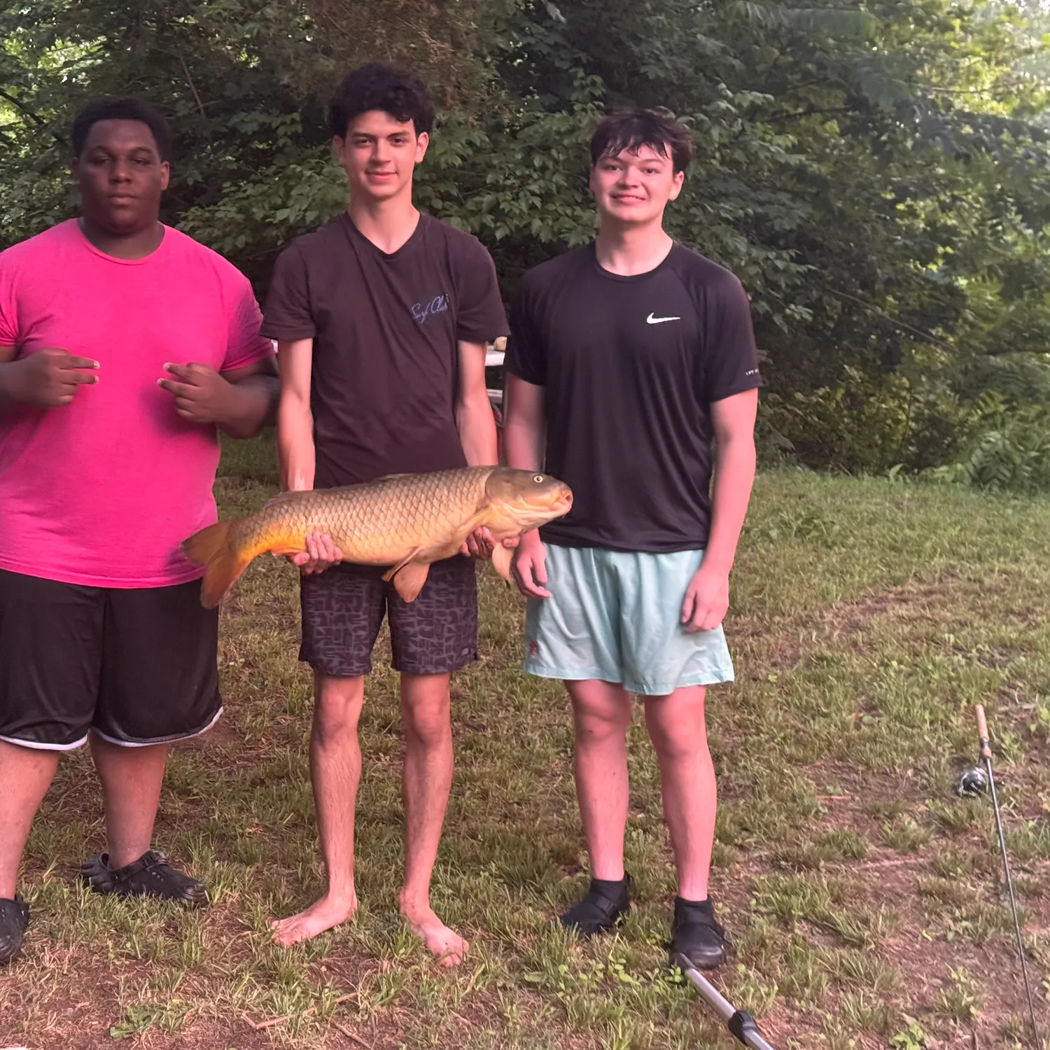 The most recent Grass carp catches on Fishbrain