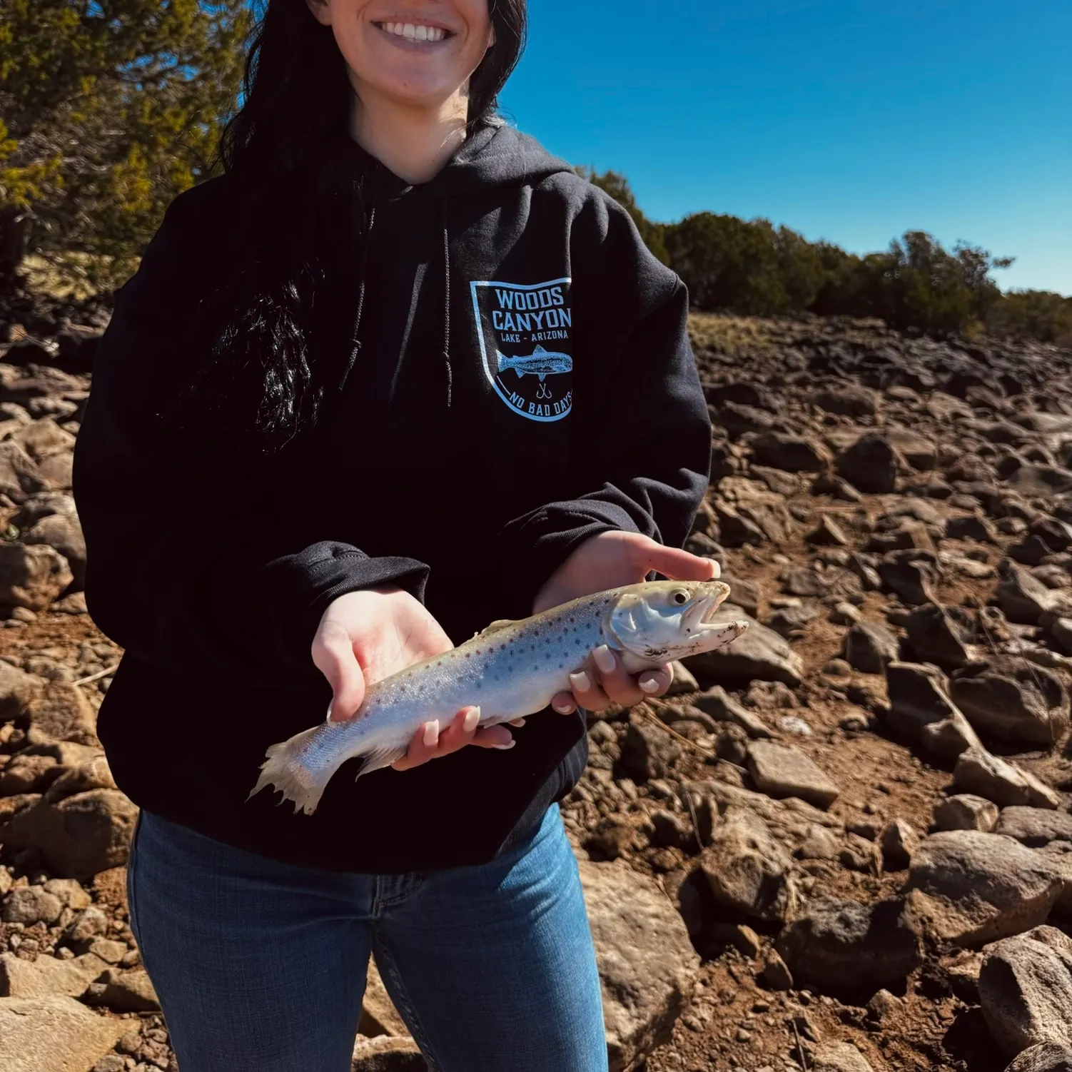 The most recent Sea trout catches on Fishbrain