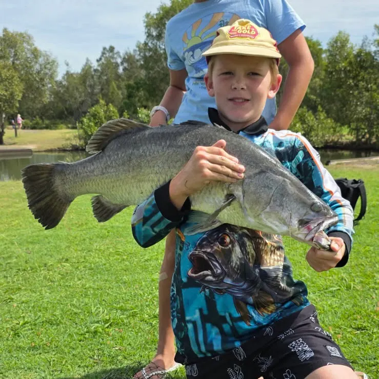 Barramundi caught on Fishbrain