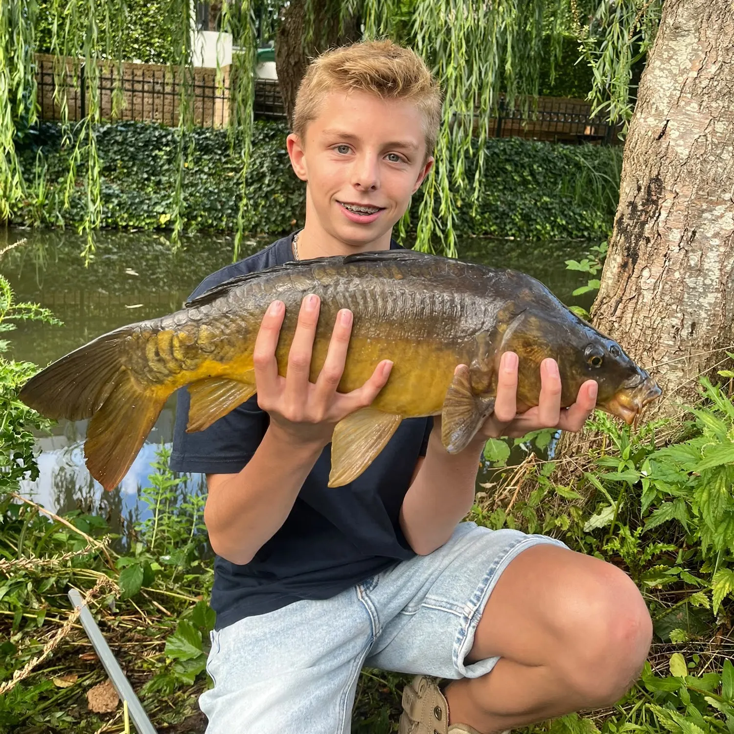 Mirror carp caught on Fishbrain