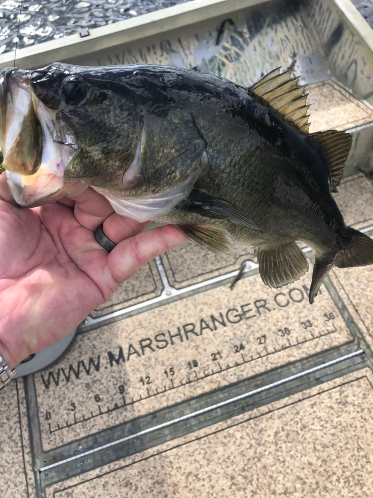 Post image from OsceolaOutbackAdventures