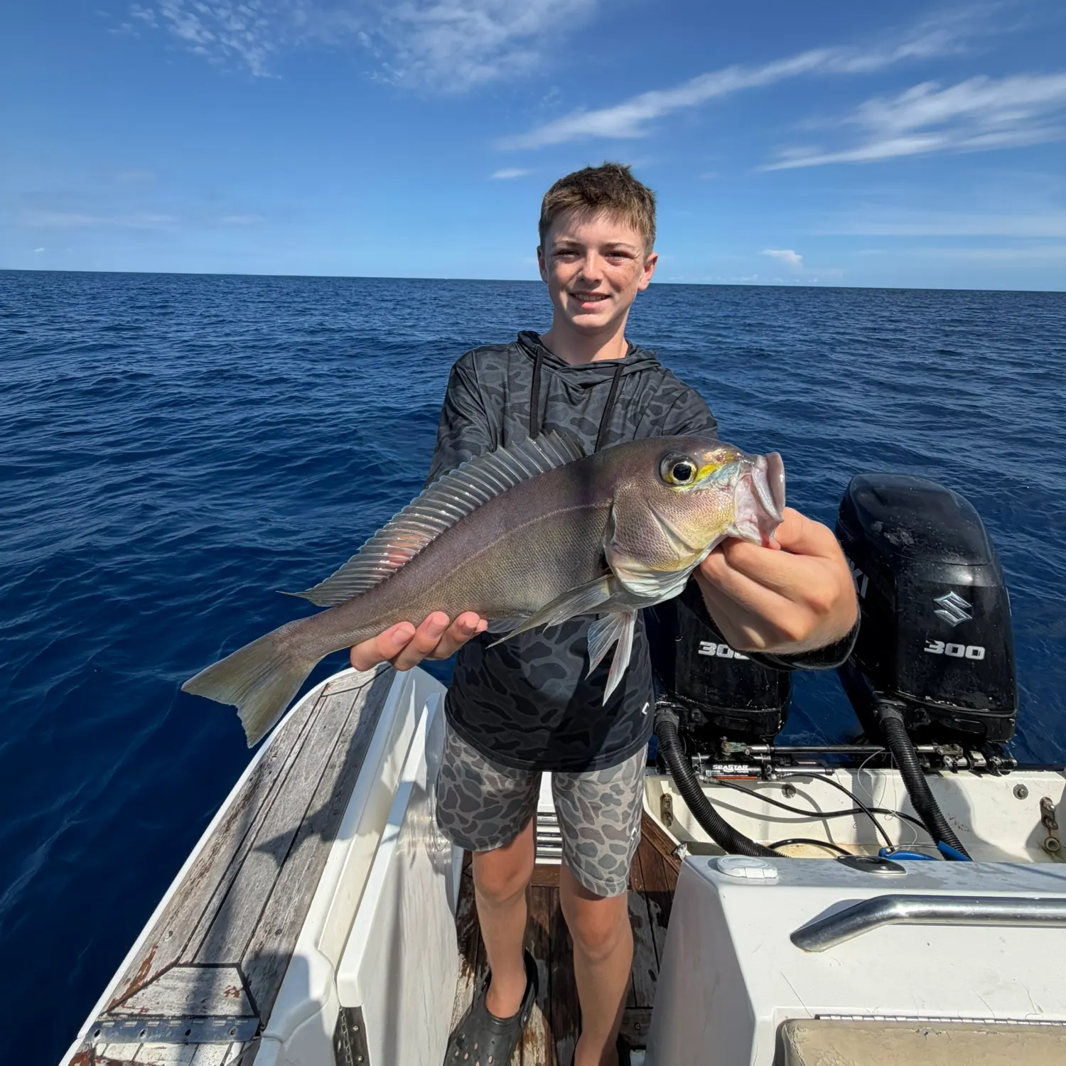 The most recent Meagre catches on Fishbrain