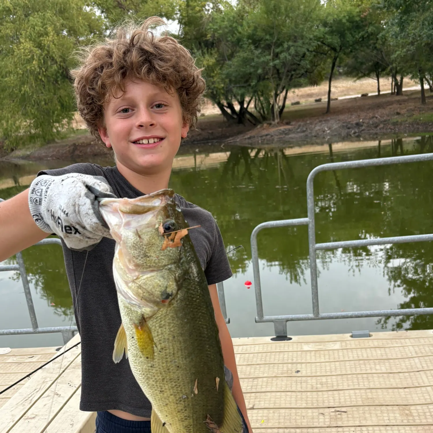 Fish caught on Fishbrain