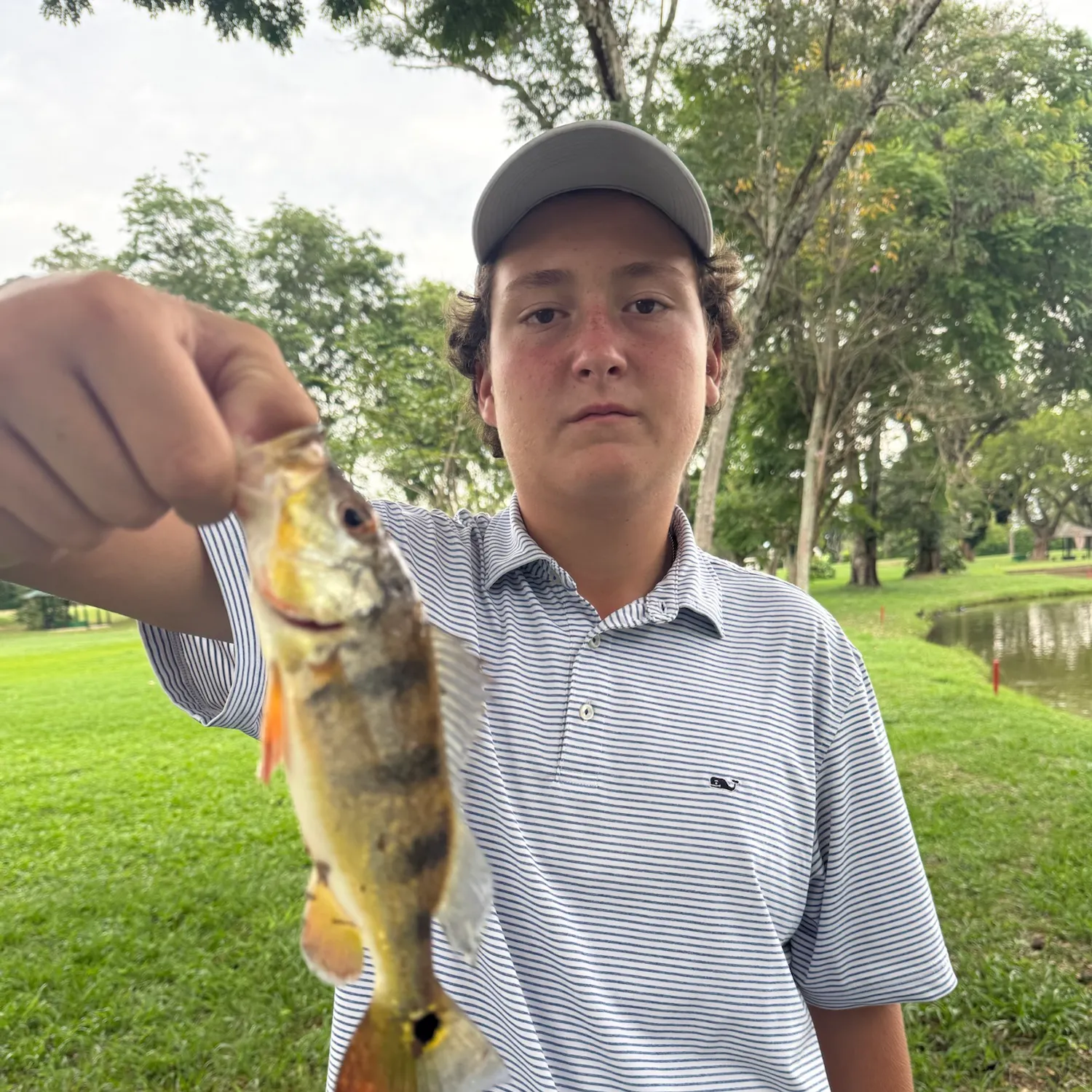 The most recent Speckled peacock bass catches on Fishbrain
