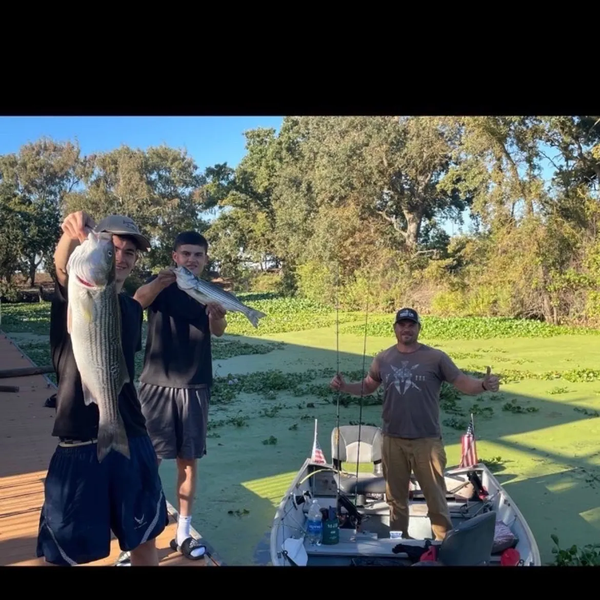 Striped bass caught on Fishbrain