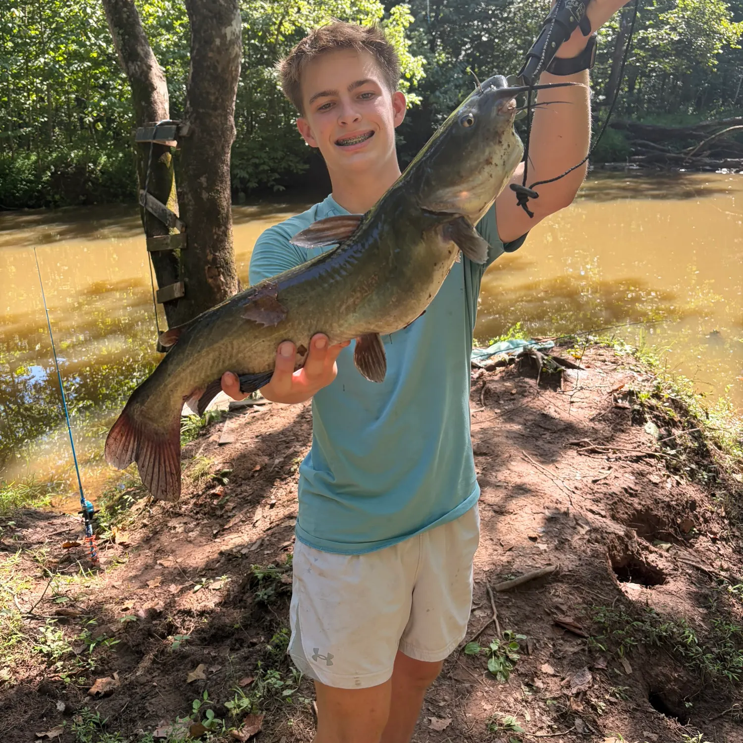 Channel catfish caught on Fishbrain