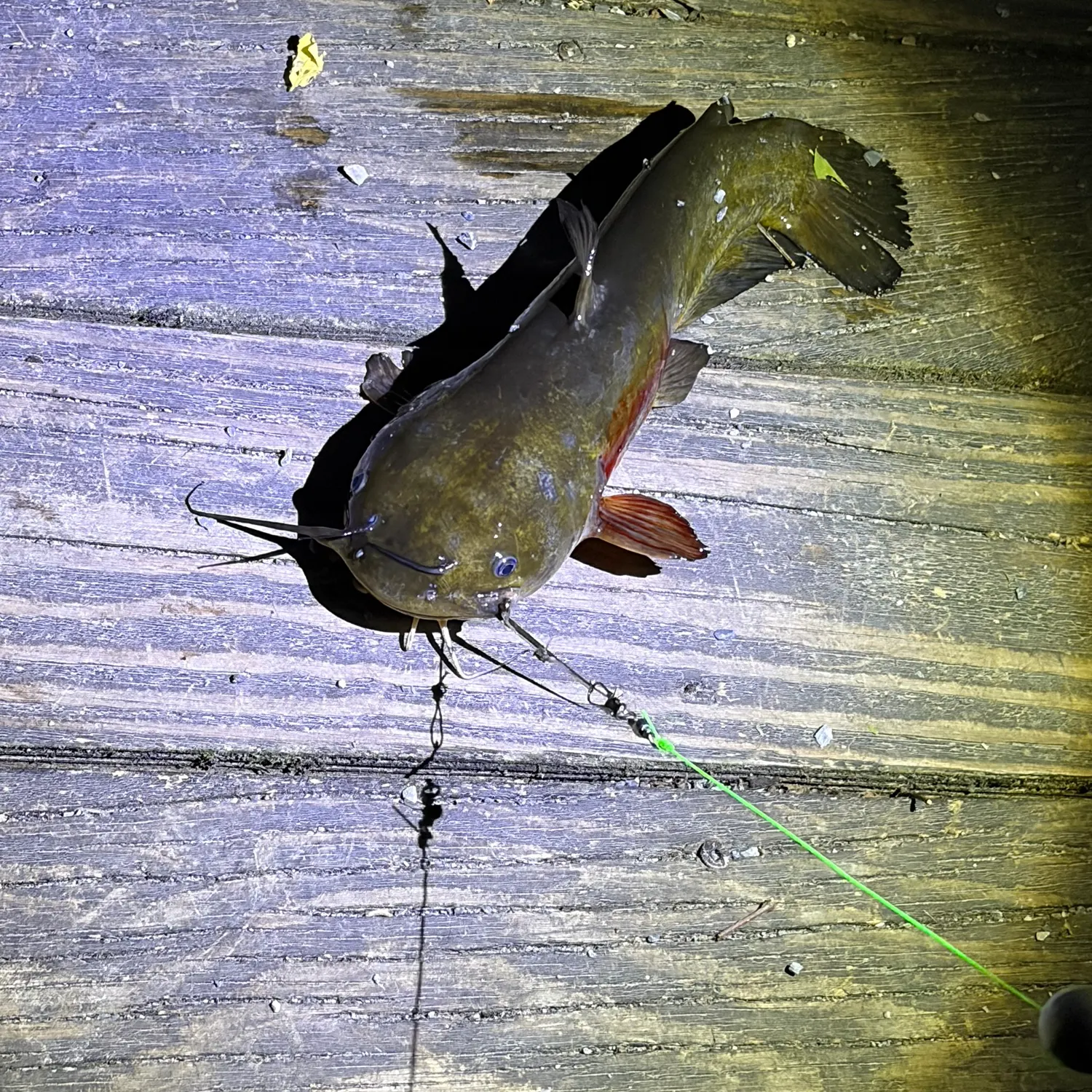 catch