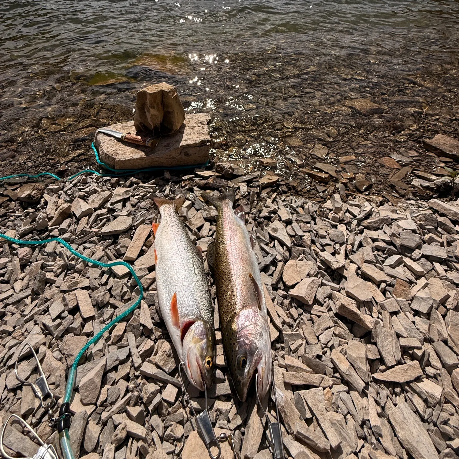 The most recent Bear River cutthroat trout catches on Fishbrain