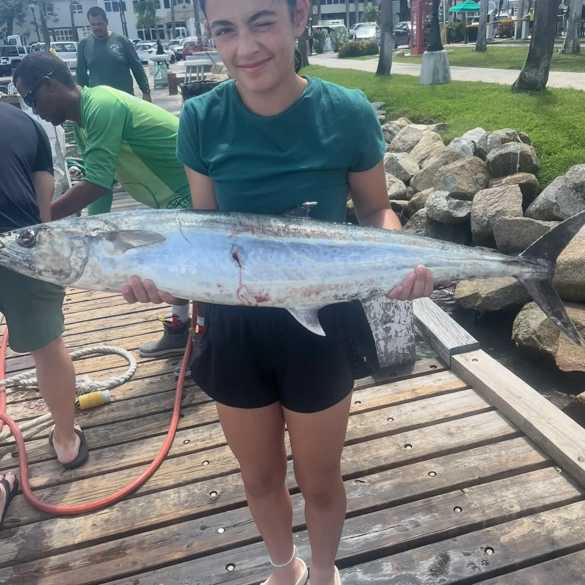 King mackerel caught on Fishbrain