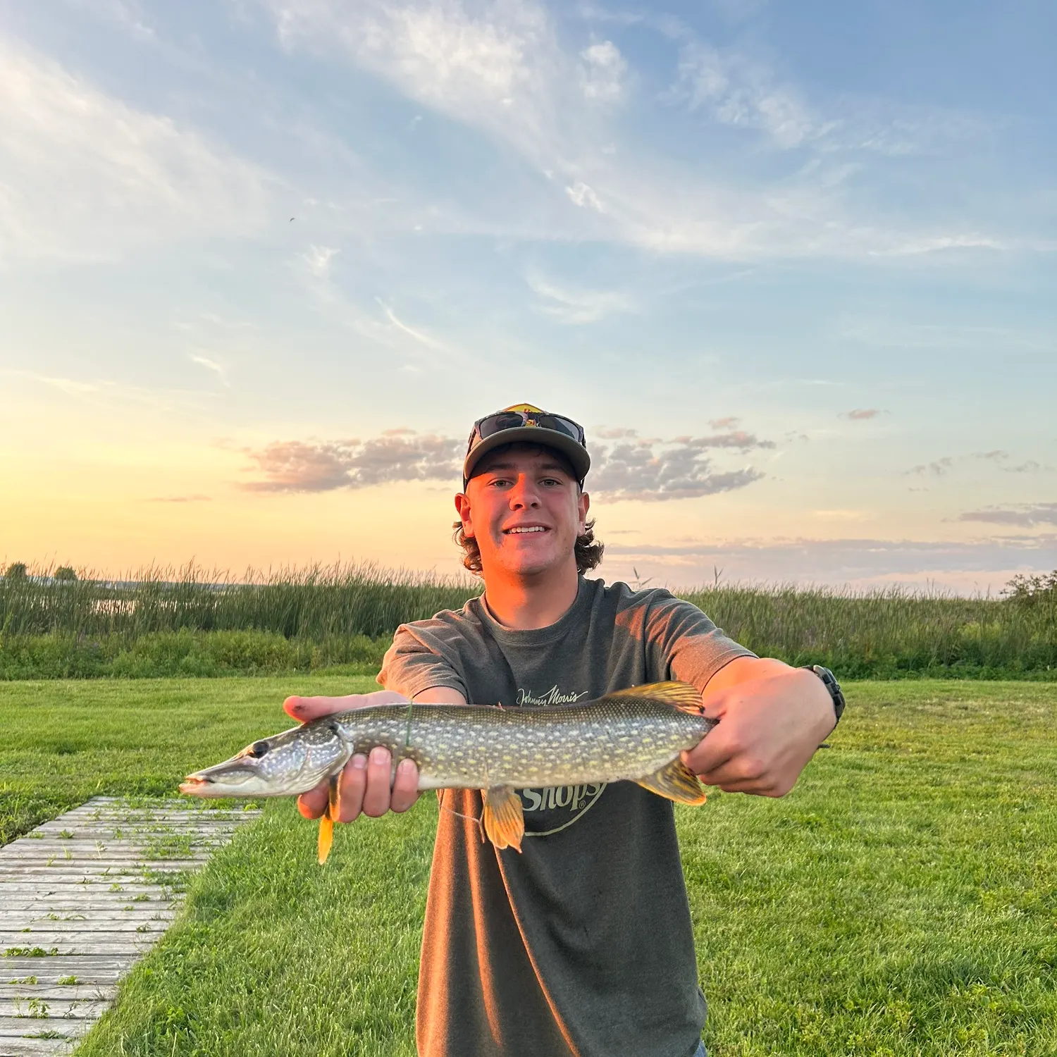 Northern pike caught on Fishbrain