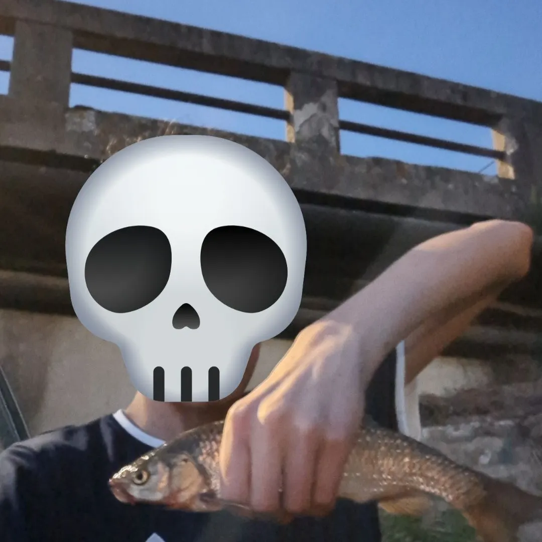 European chub caught on Fishbrain