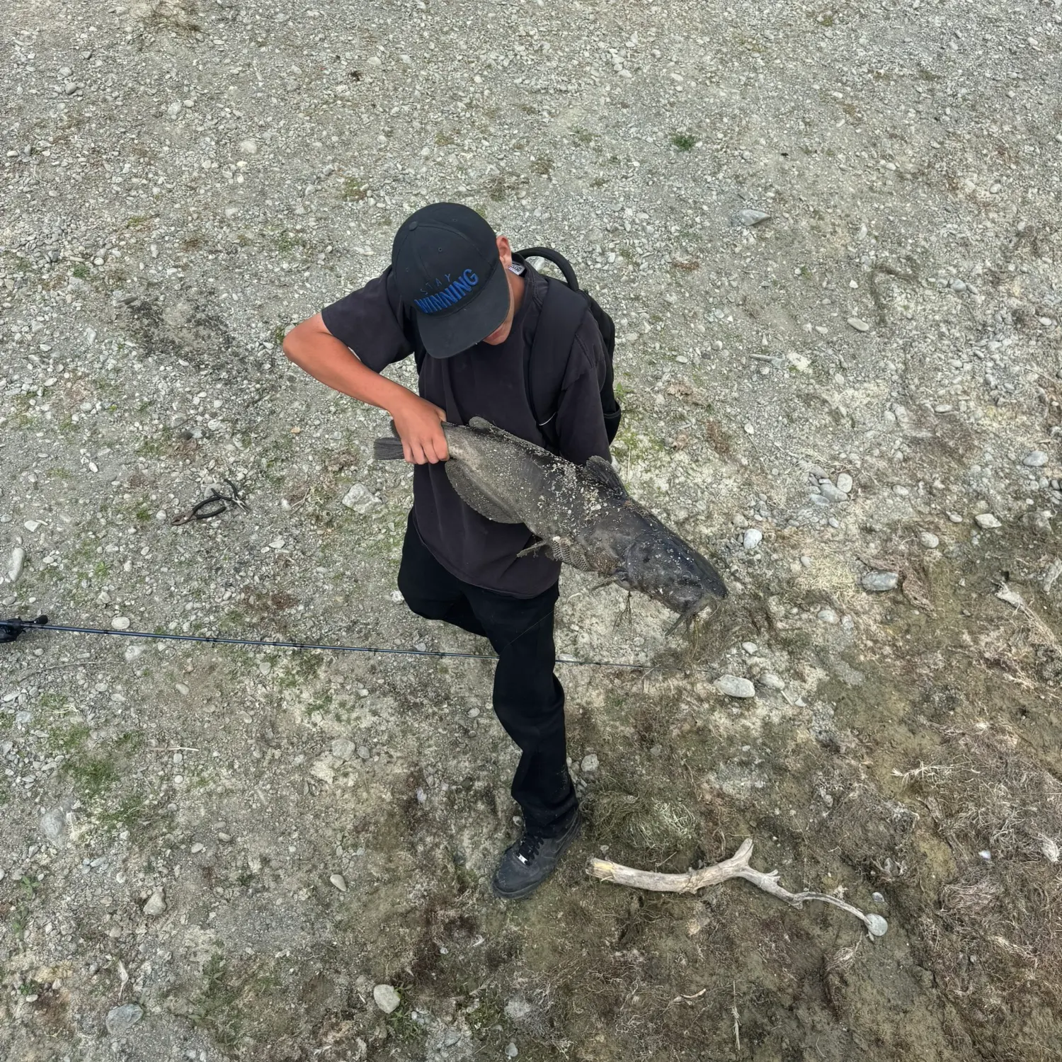 Channel catfish caught on Fishbrain
