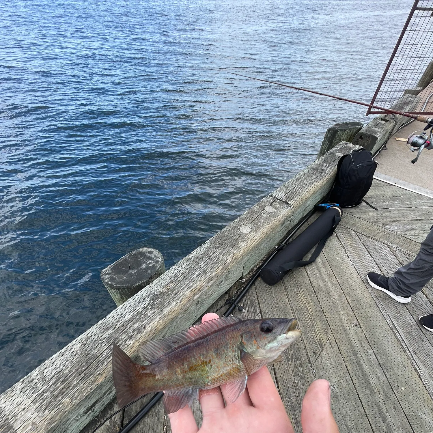 catch