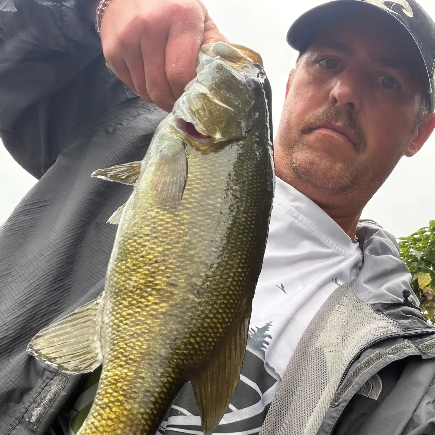 Smallmouth bass caught on Fishbrain