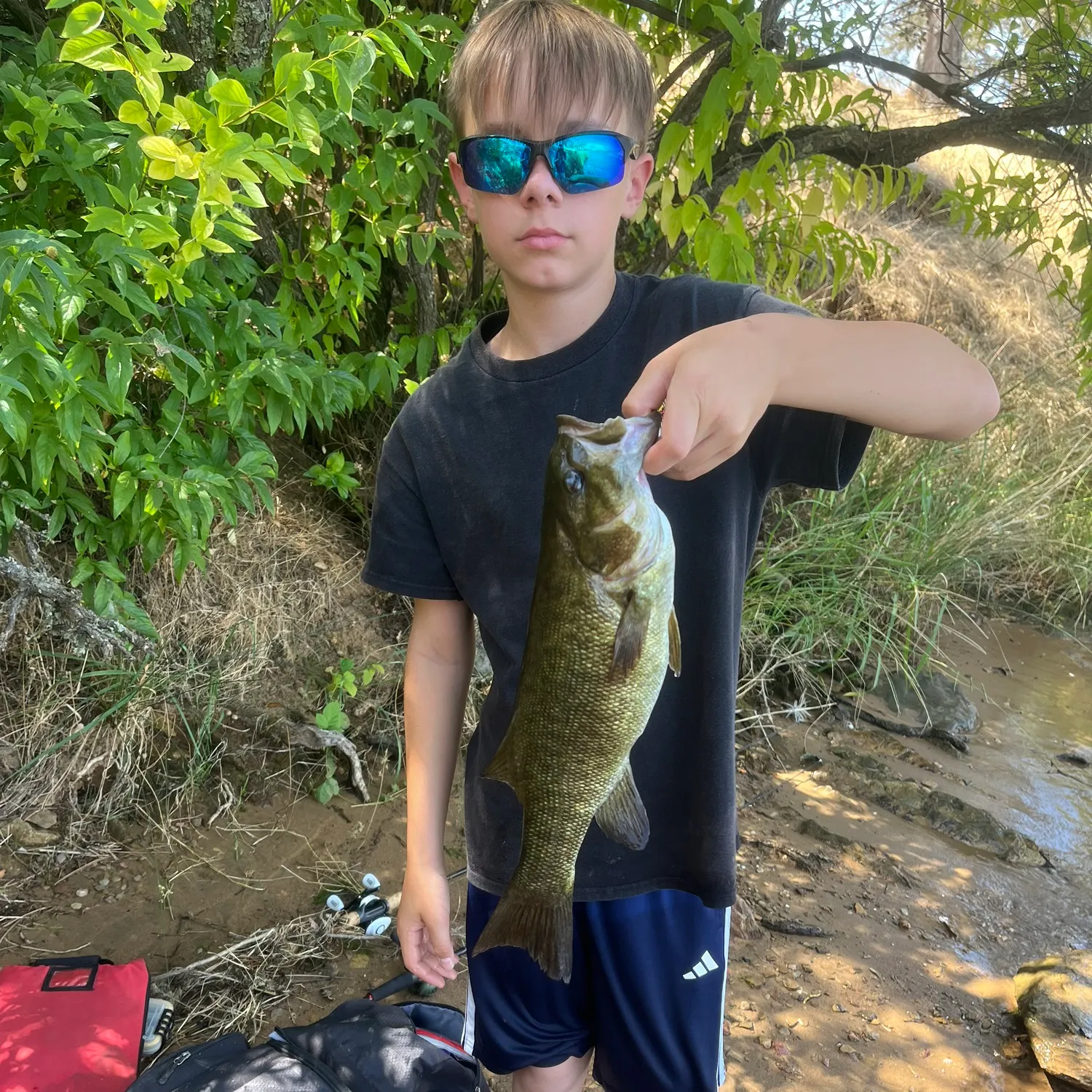 Smallmouth bass caught on Fishbrain