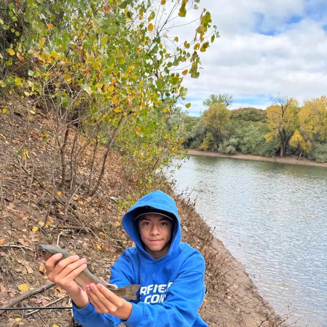 Fish caught on Fishbrain