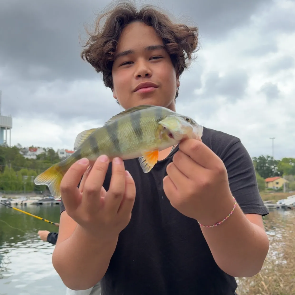 European perch caught on Fishbrain