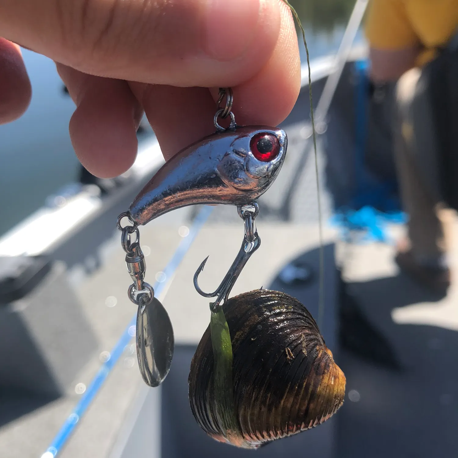 Fish caught on Fishbrain