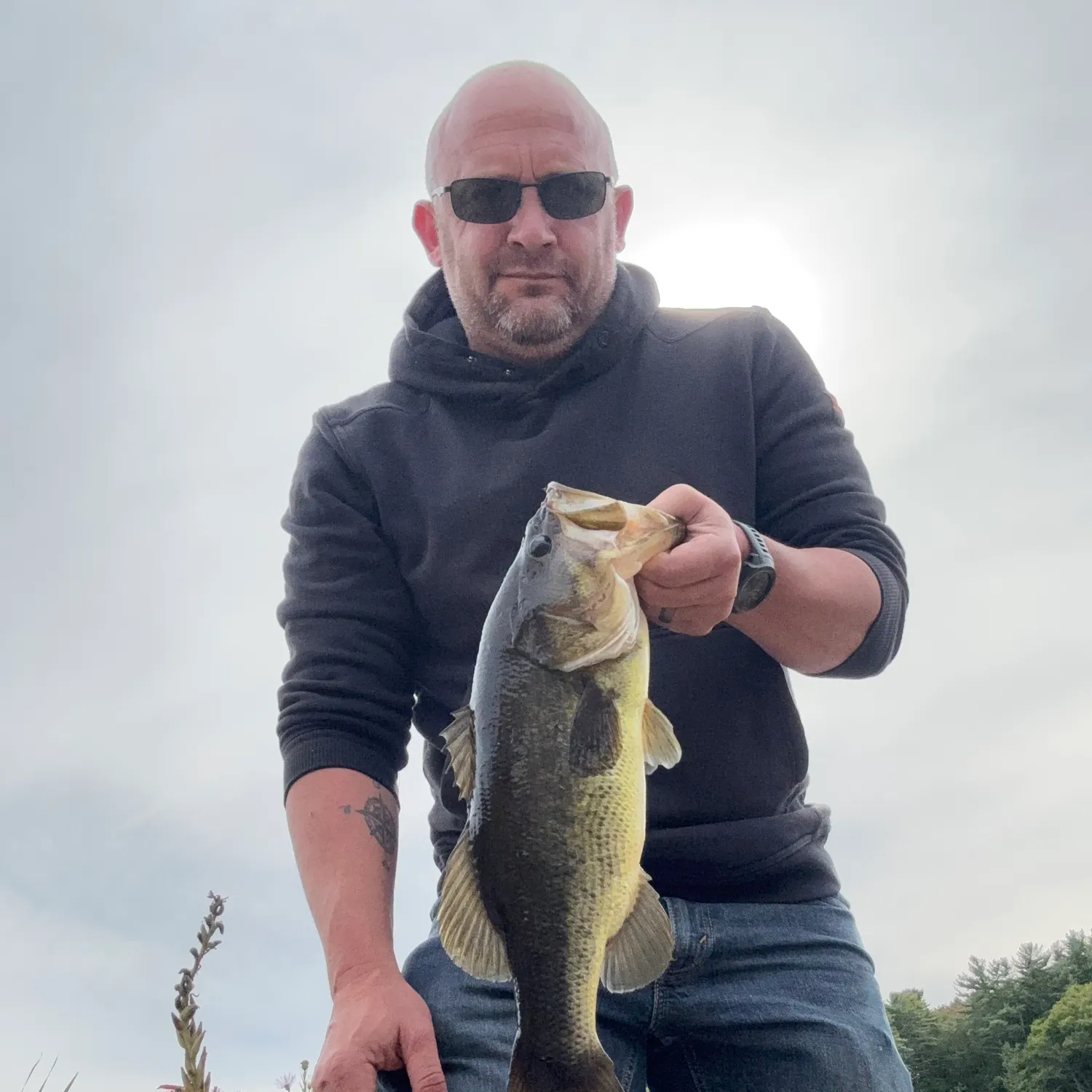Largemouth bass caught on Fishbrain