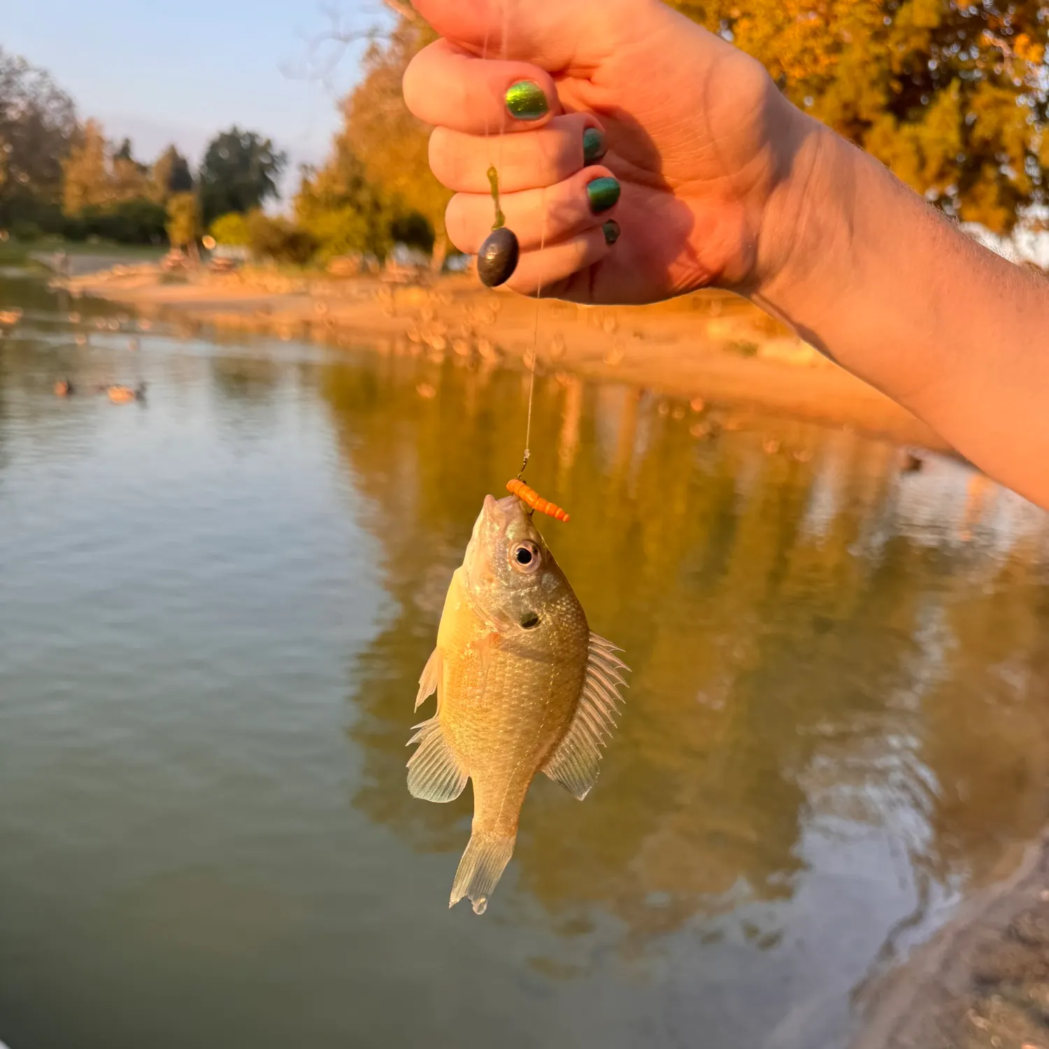 catch