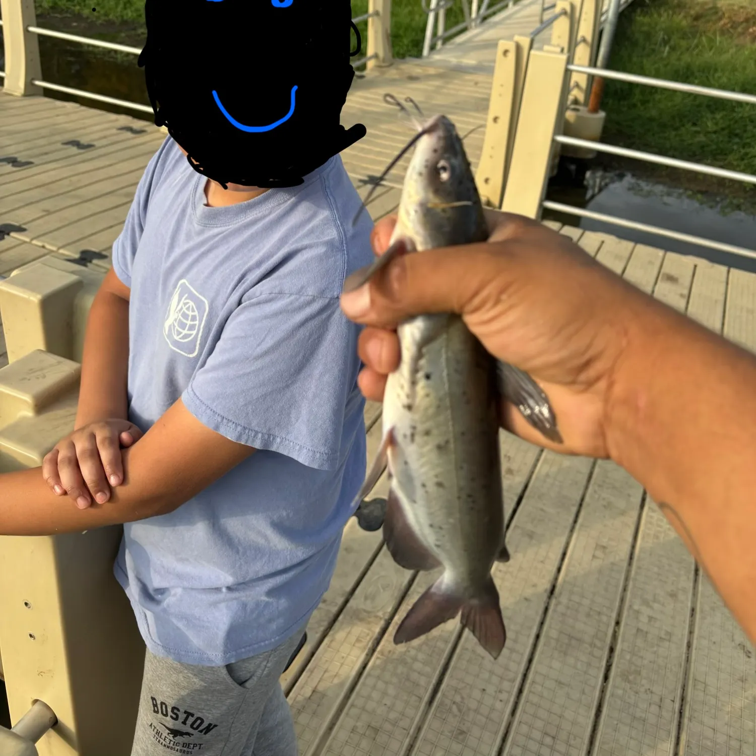 Channel catfish caught on Fishbrain