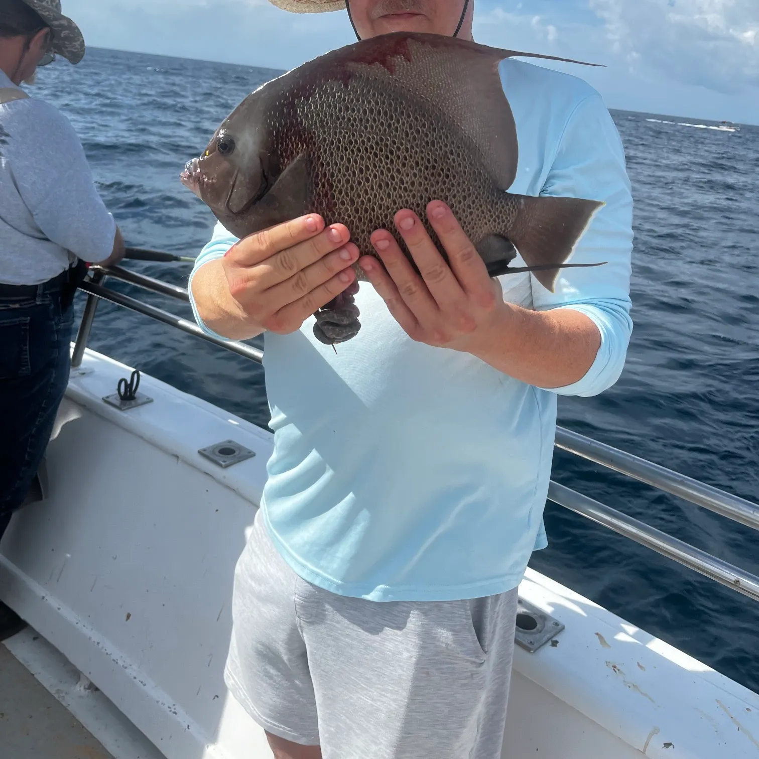 The most recent Gray angelfish catches on Fishbrain