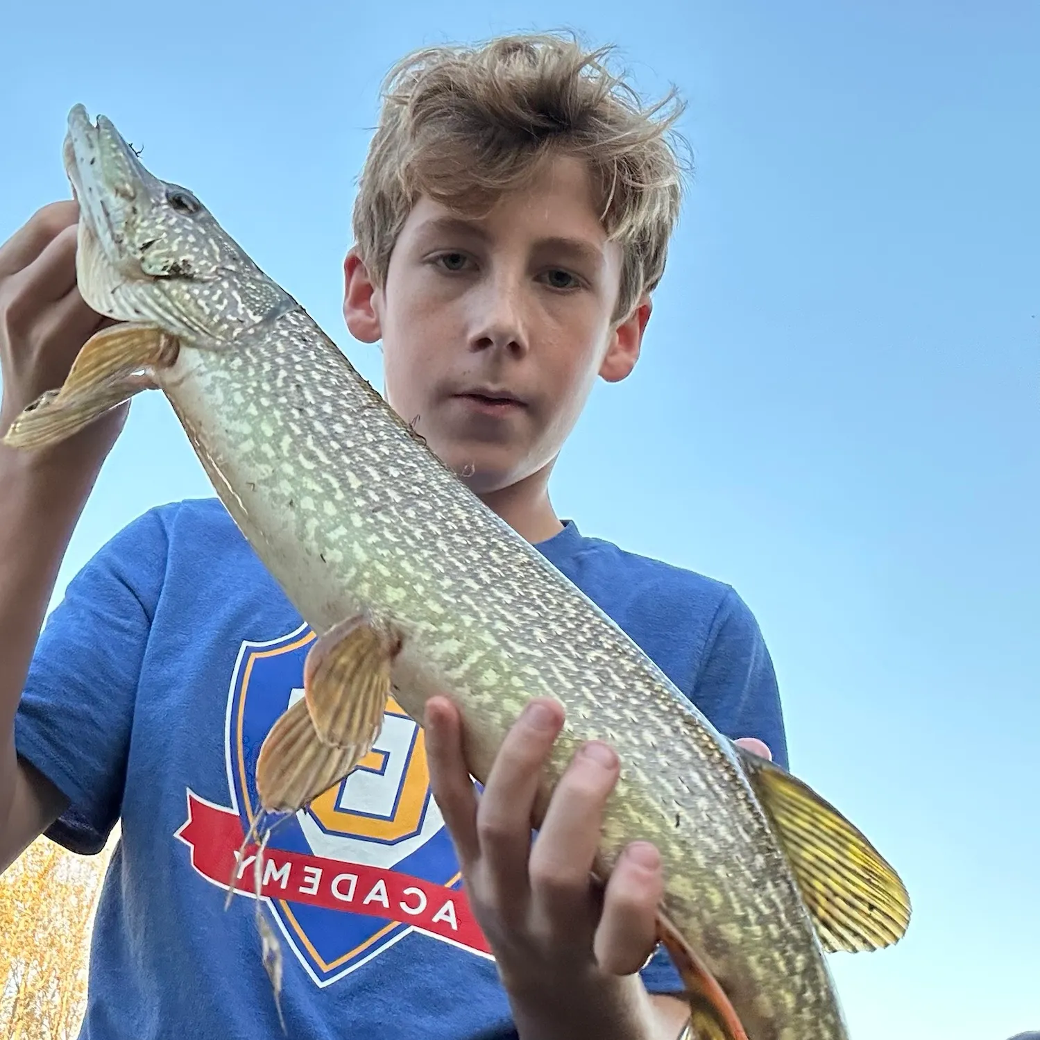 Northern pike caught on Fishbrain