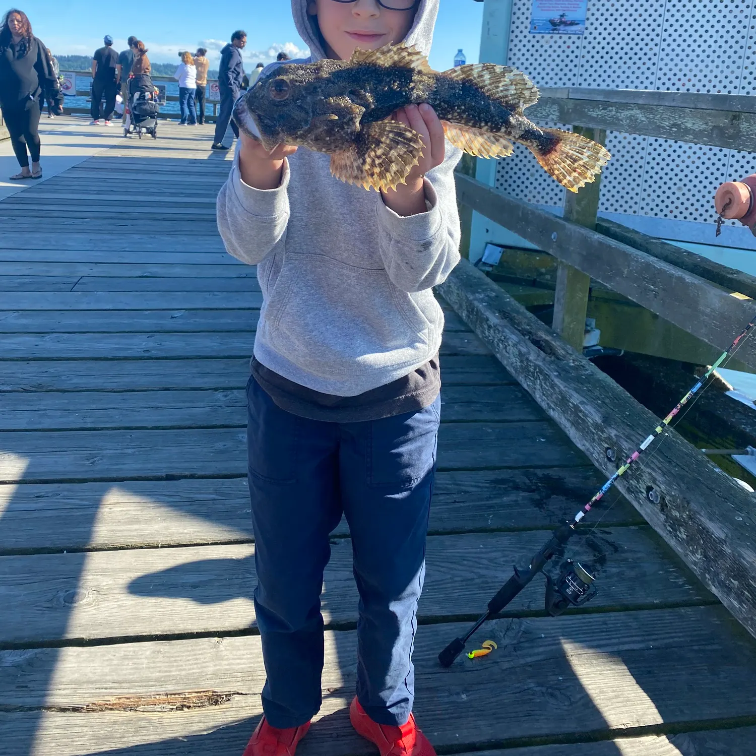 The most recent Great sculpin catches on Fishbrain