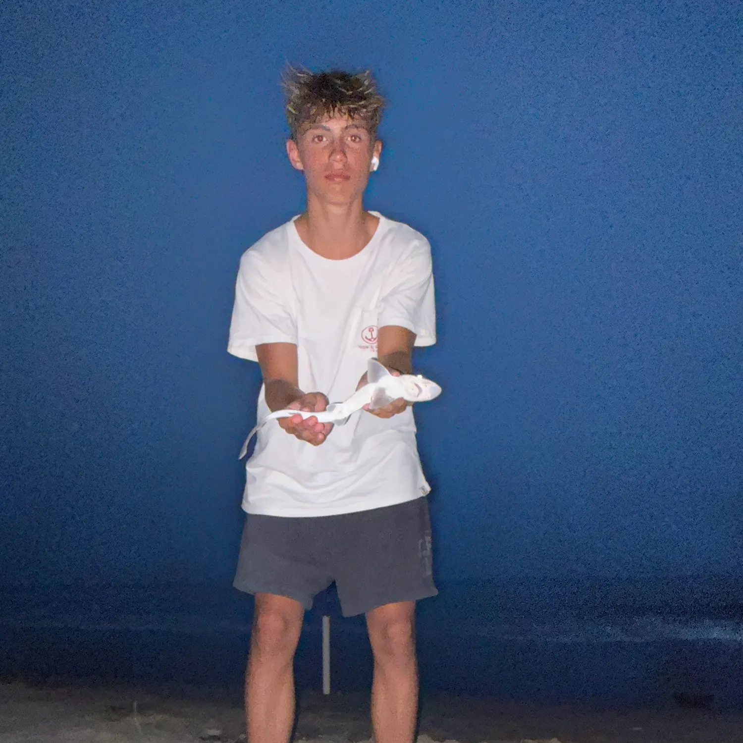 The most recent Piked dogfish catches on Fishbrain