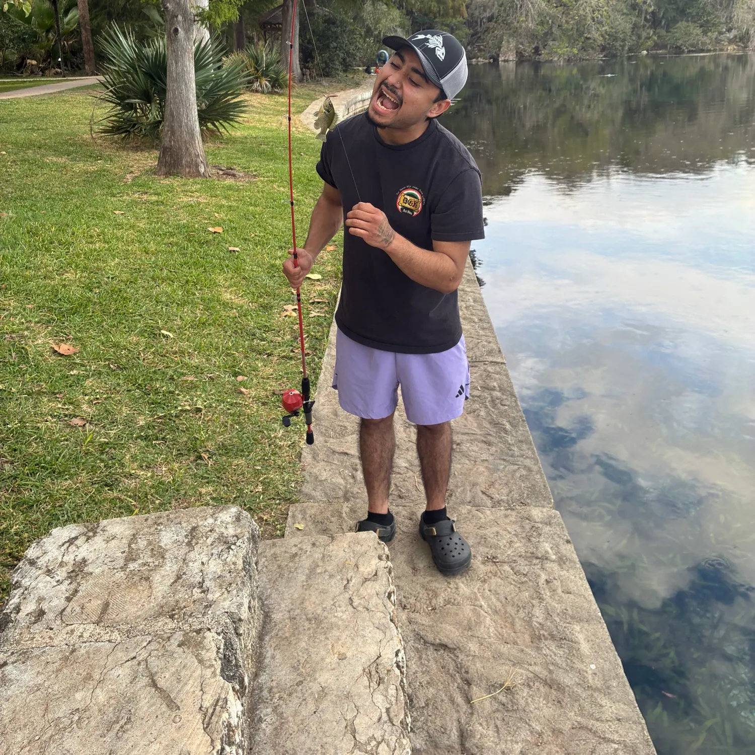 Green sunfish caught on Fishbrain