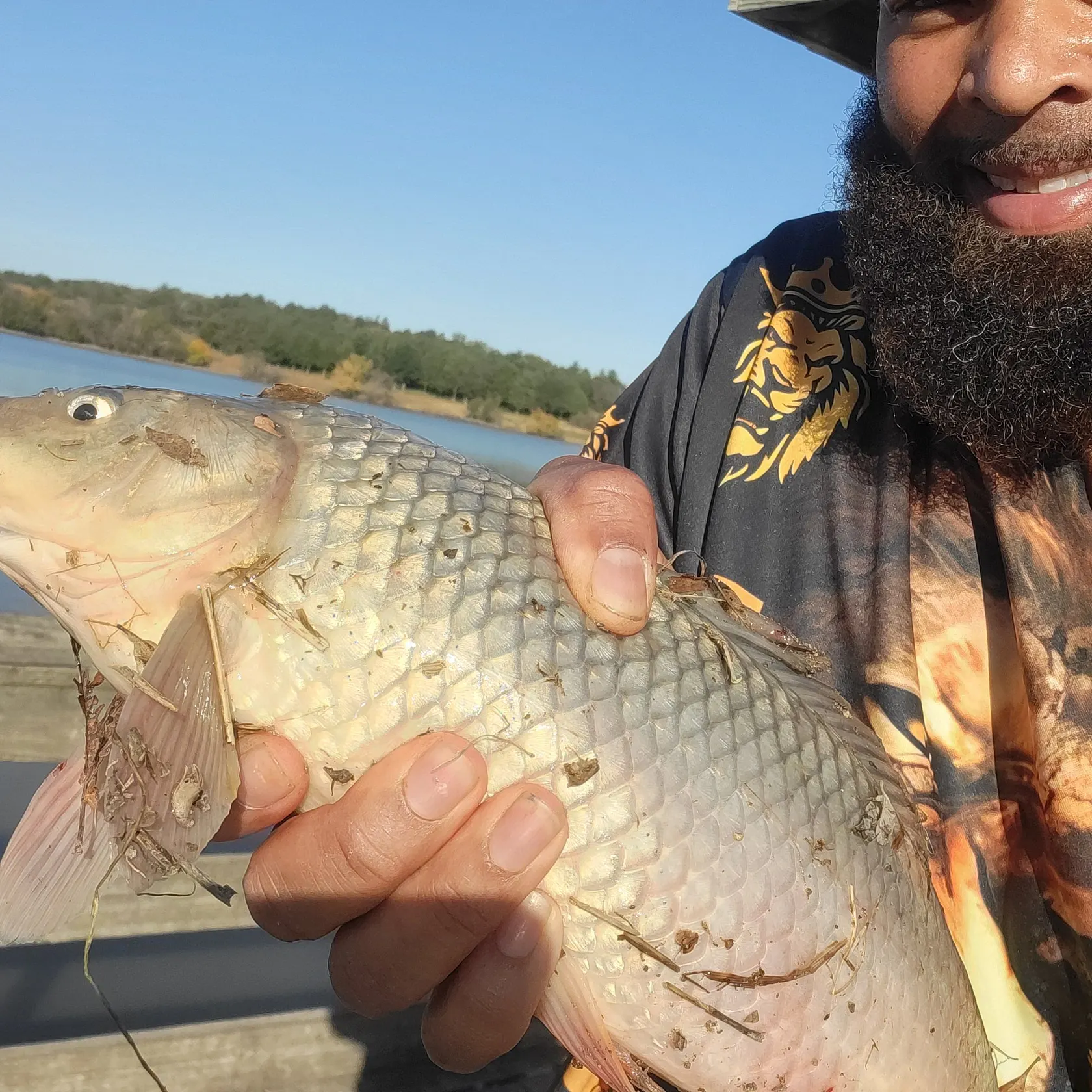Common carp caught on Fishbrain