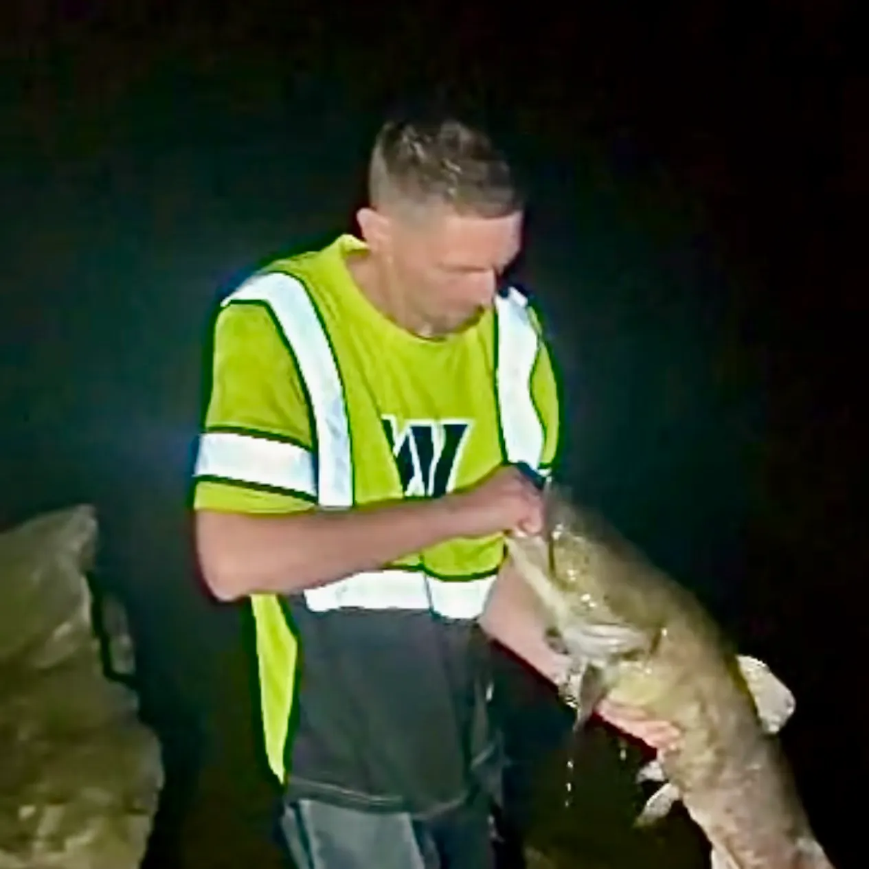 Flathead catfish caught on Fishbrain