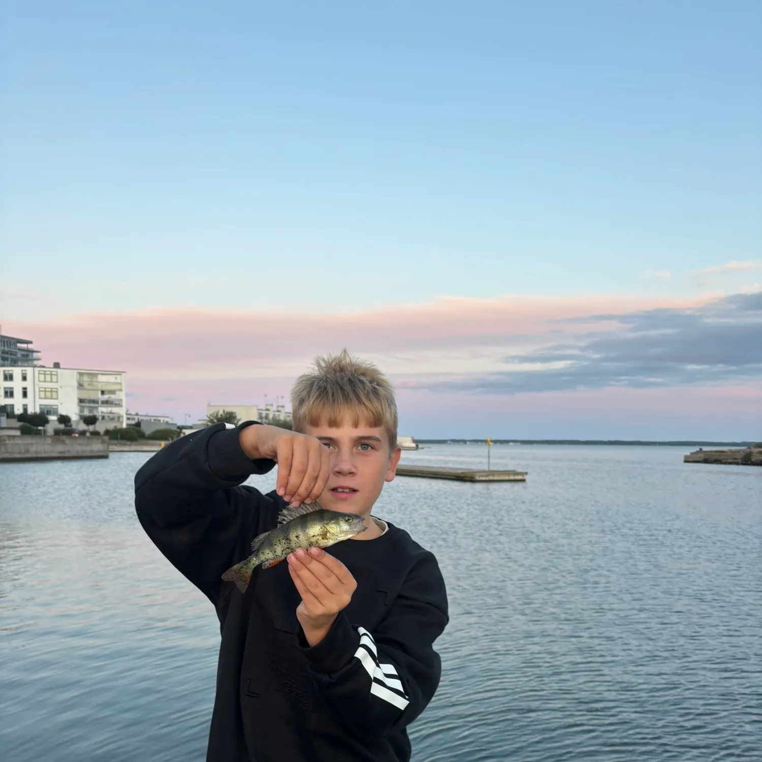 European perch caught on Fishbrain