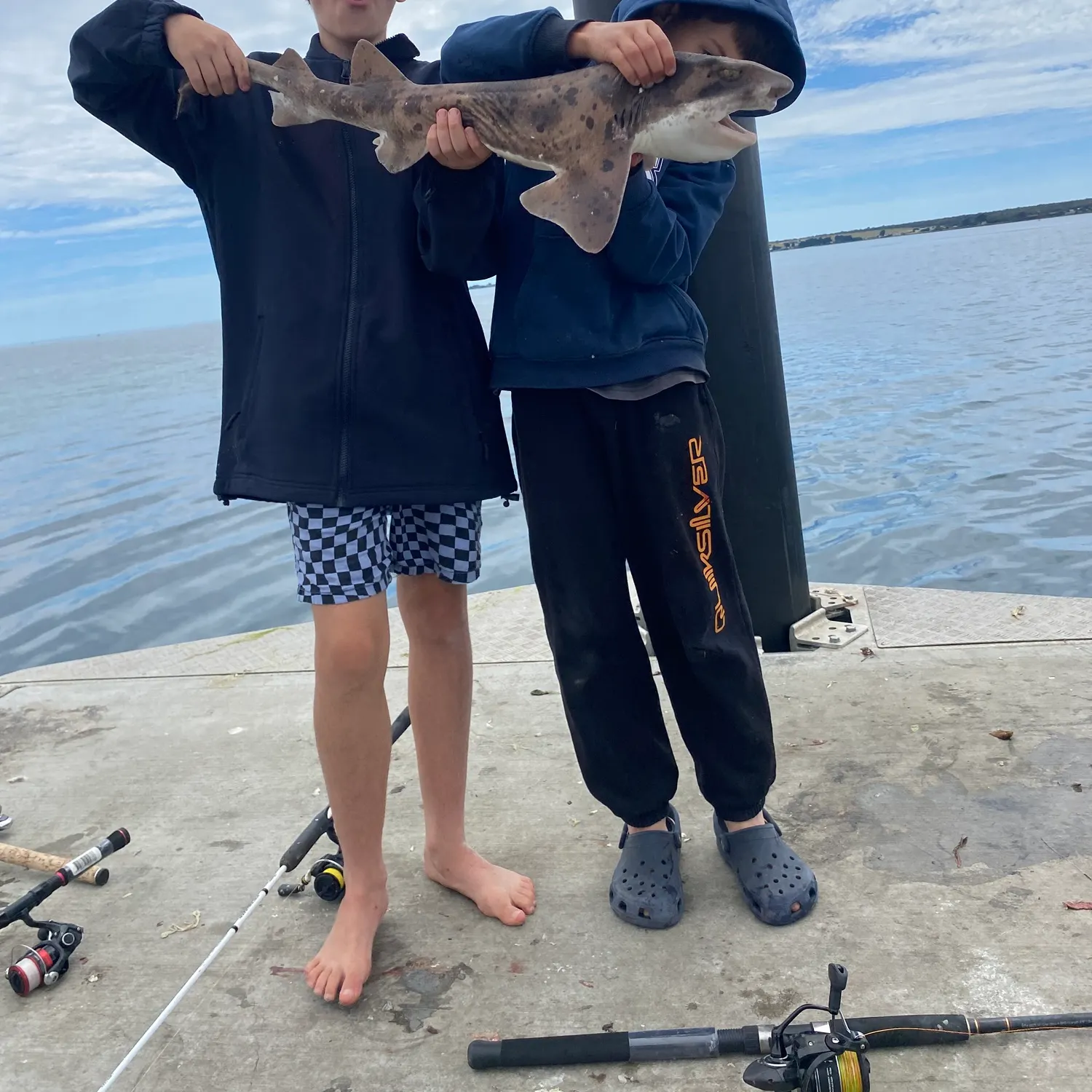 The most recent Swellshark catches on Fishbrain