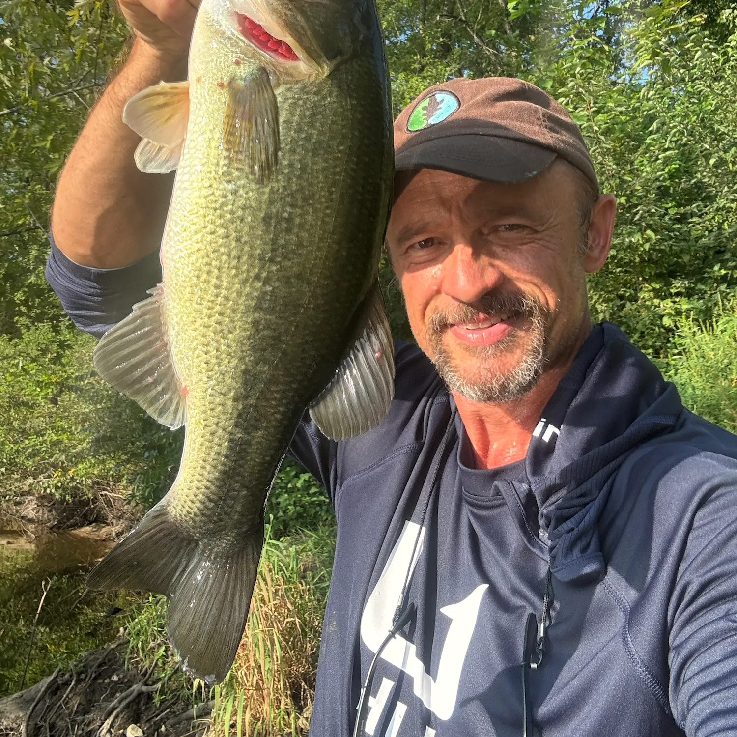Largemouth bass caught on Fishbrain
