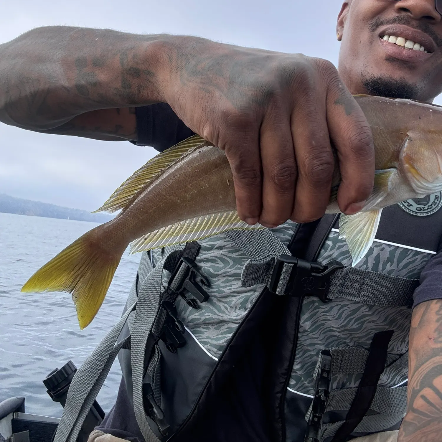 The most recent Ocean whitefish catches on Fishbrain