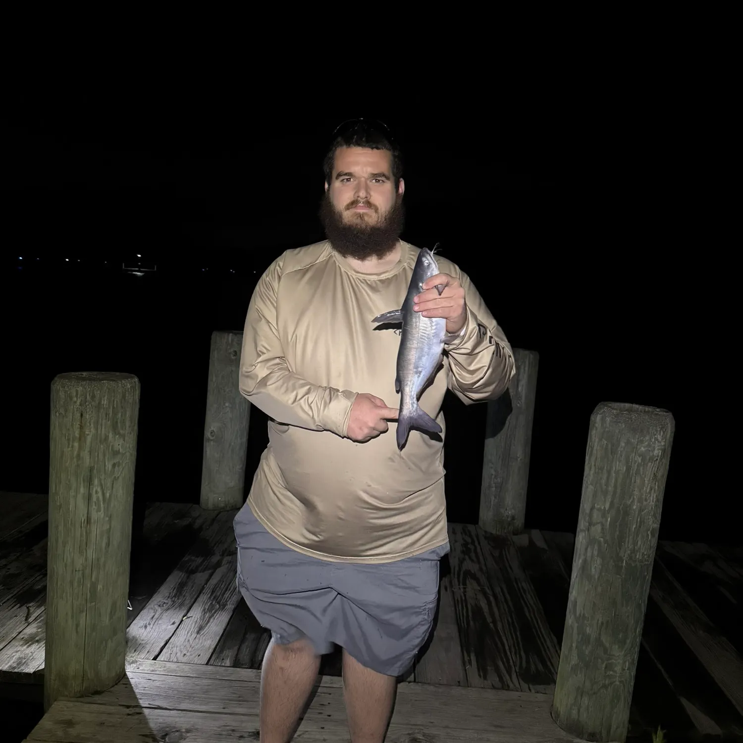 Channel catfish caught on Fishbrain
