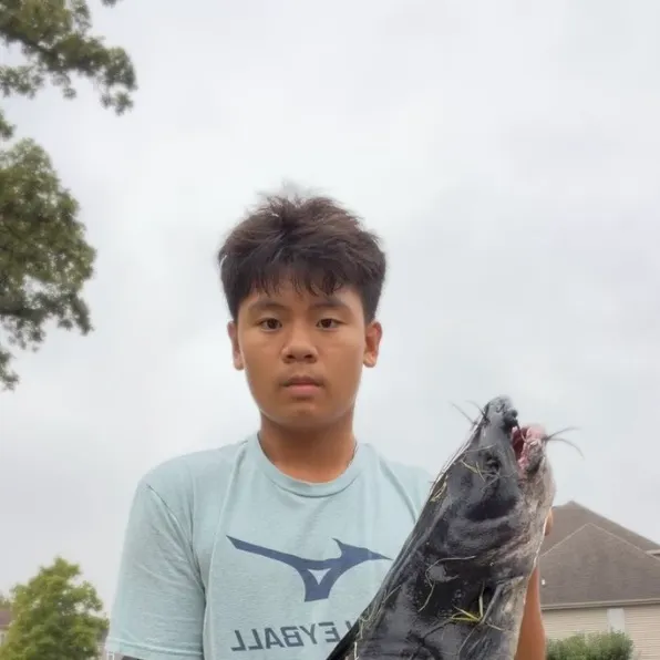 Channel catfish caught on Fishbrain