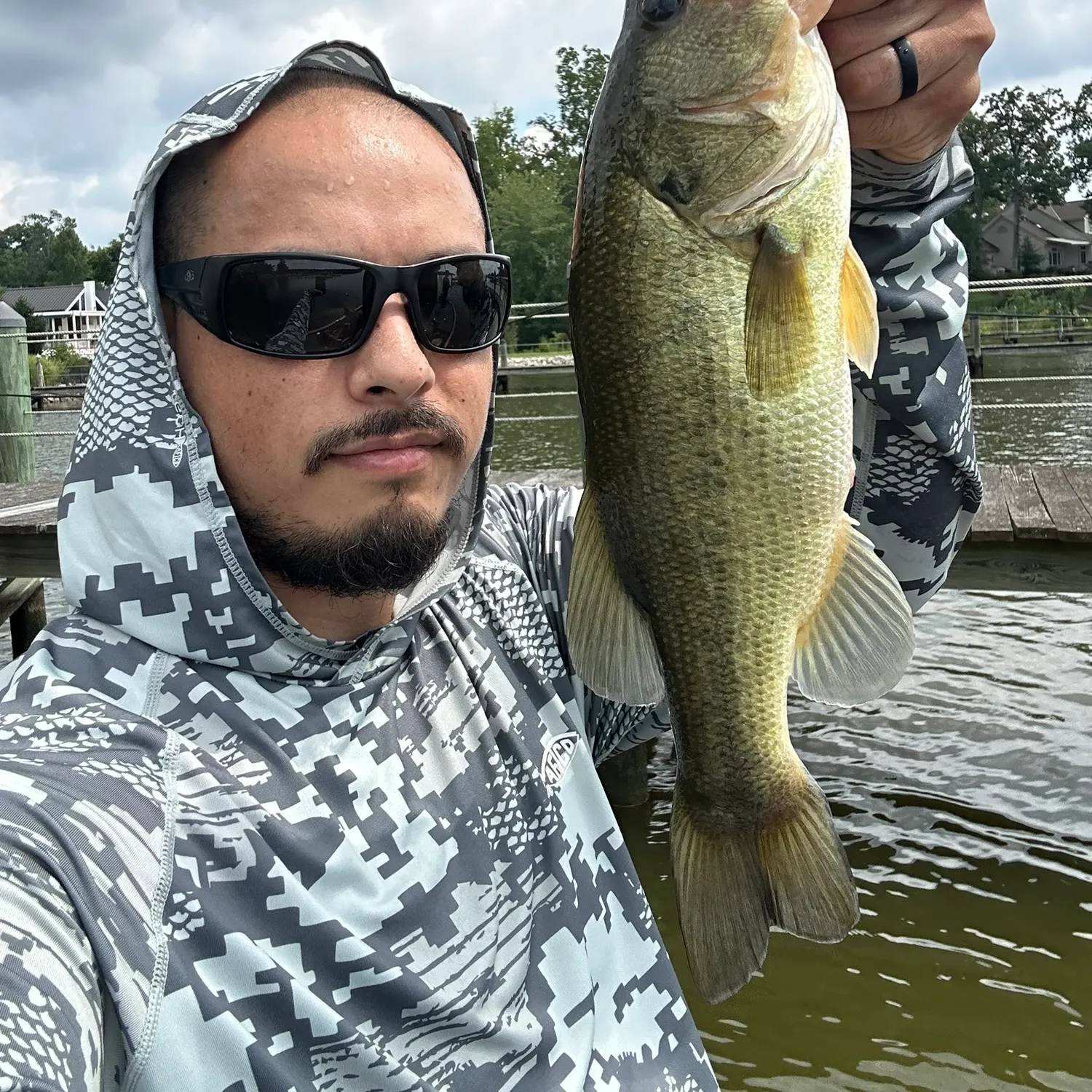 Largemouth bass caught on Fishbrain