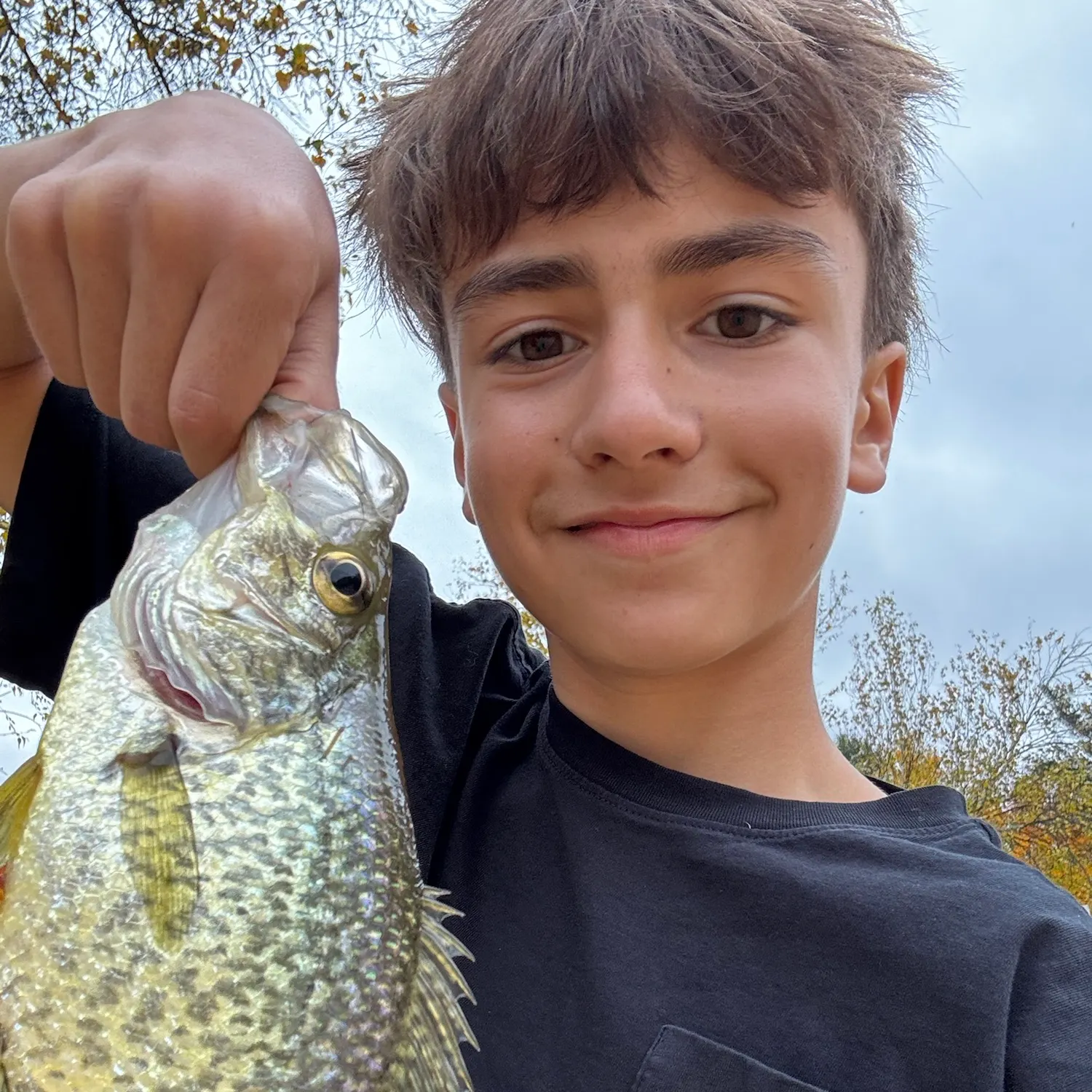 Black crappie caught on Fishbrain