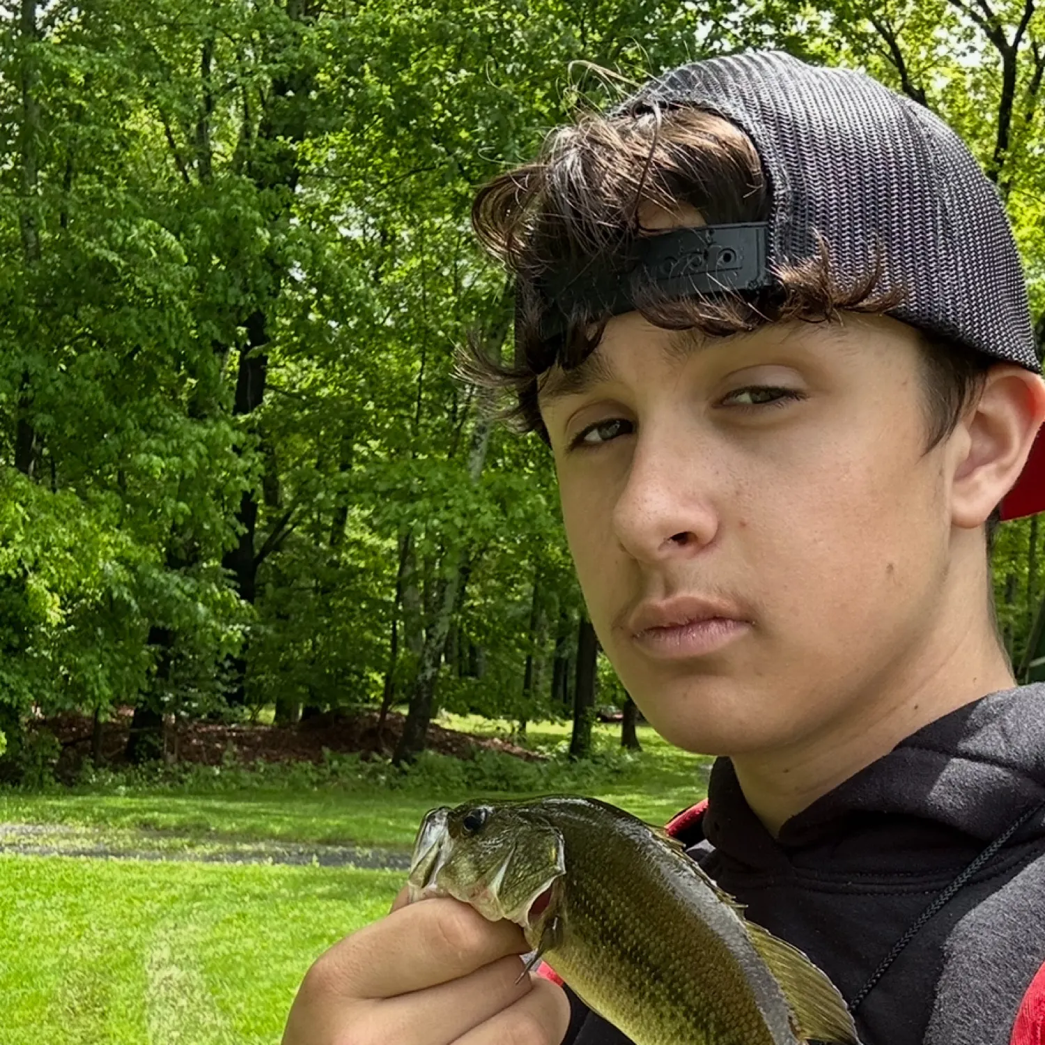 The most recent Largemouth bass catches on Fishbrain