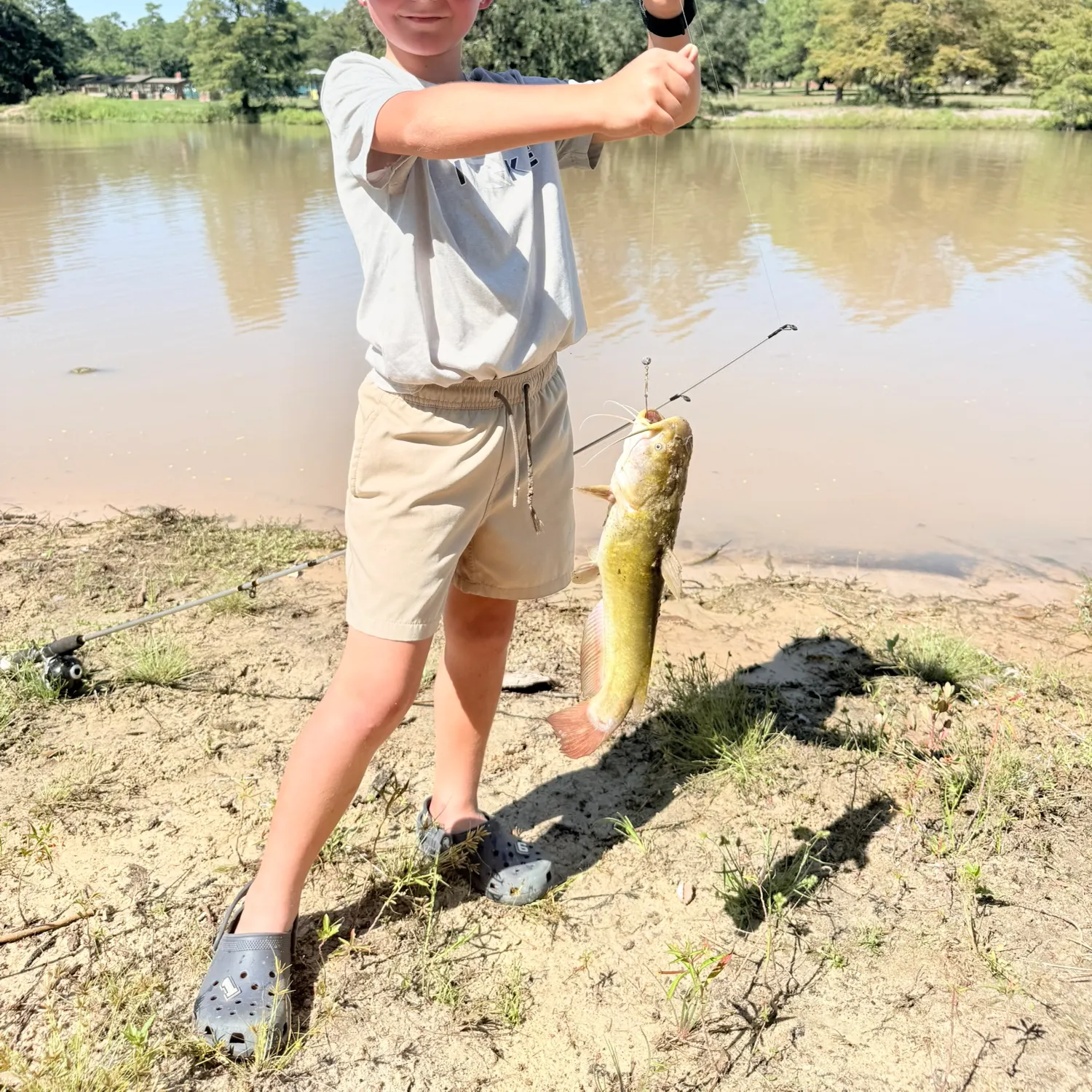 Flathead catfish caught on Fishbrain