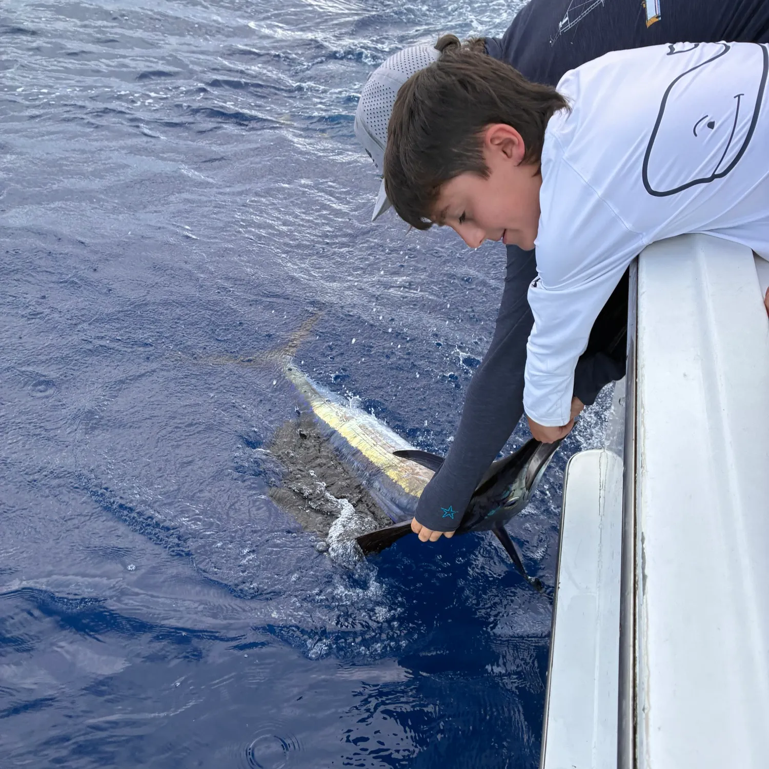 Indo-Pacific sailfish caught on Fishbrain